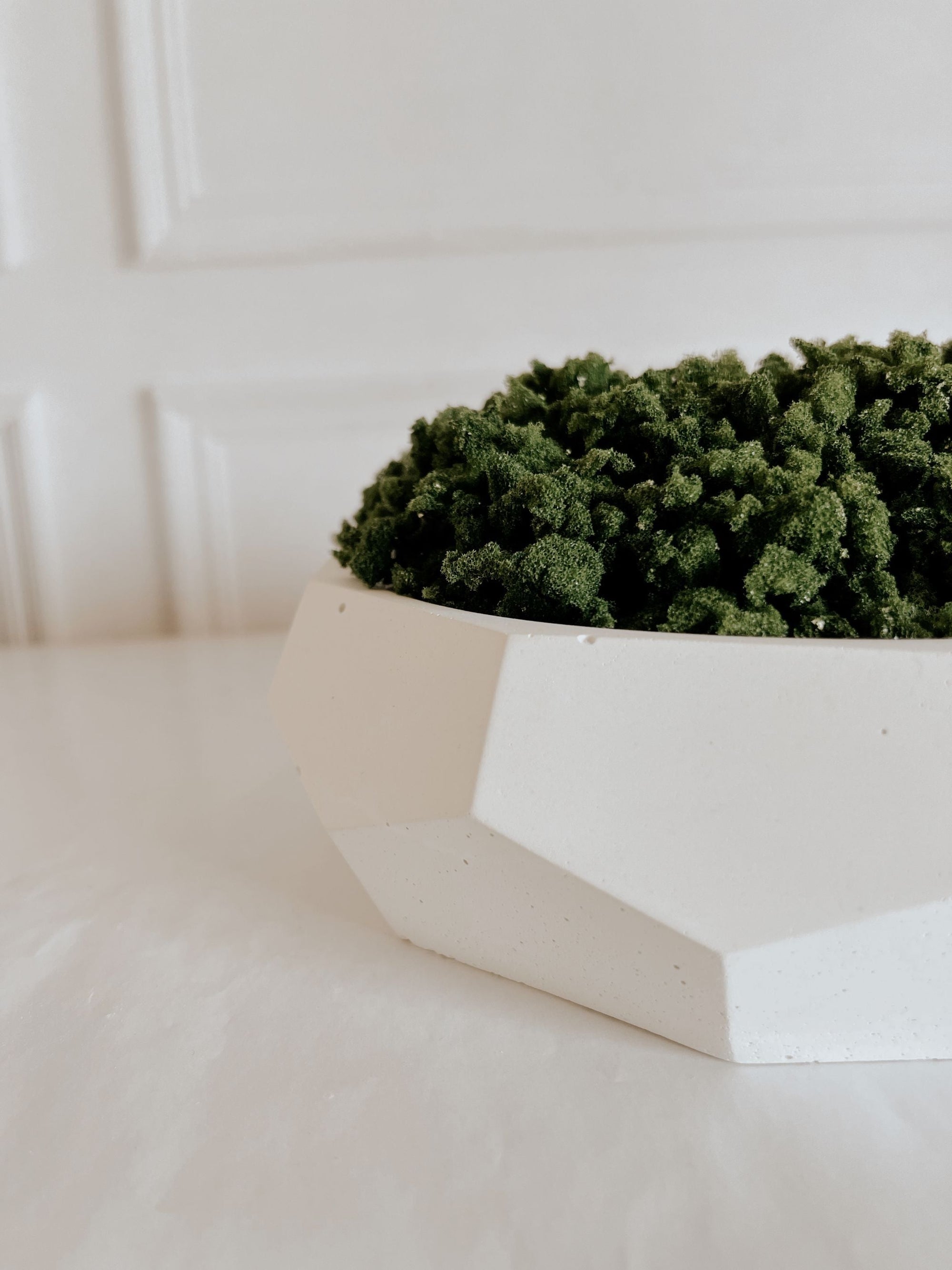 Concrete Geo Bowl Planter