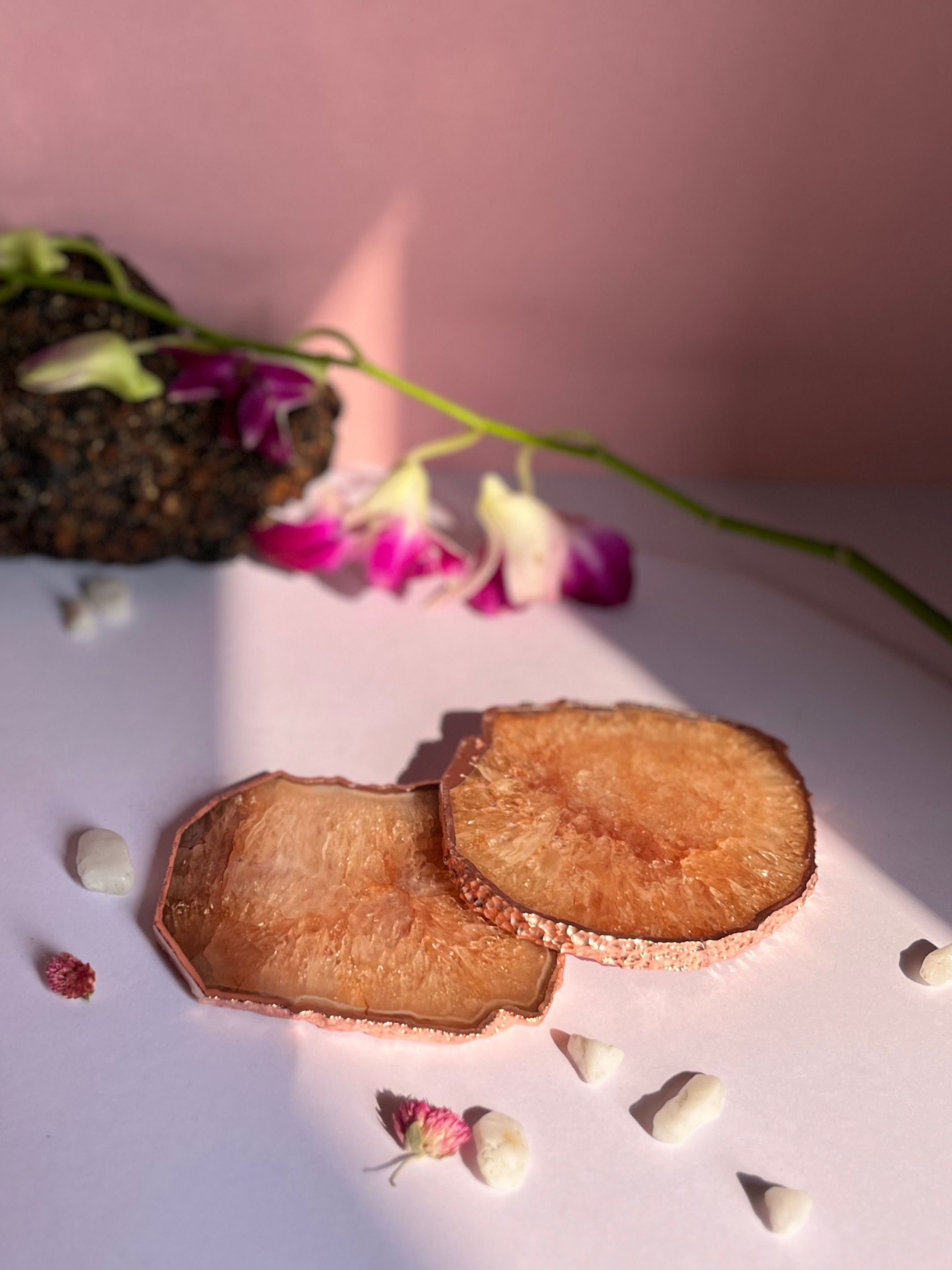 Coaster Set of 2 - Crystal Brown Agate with Rose Gold Edging