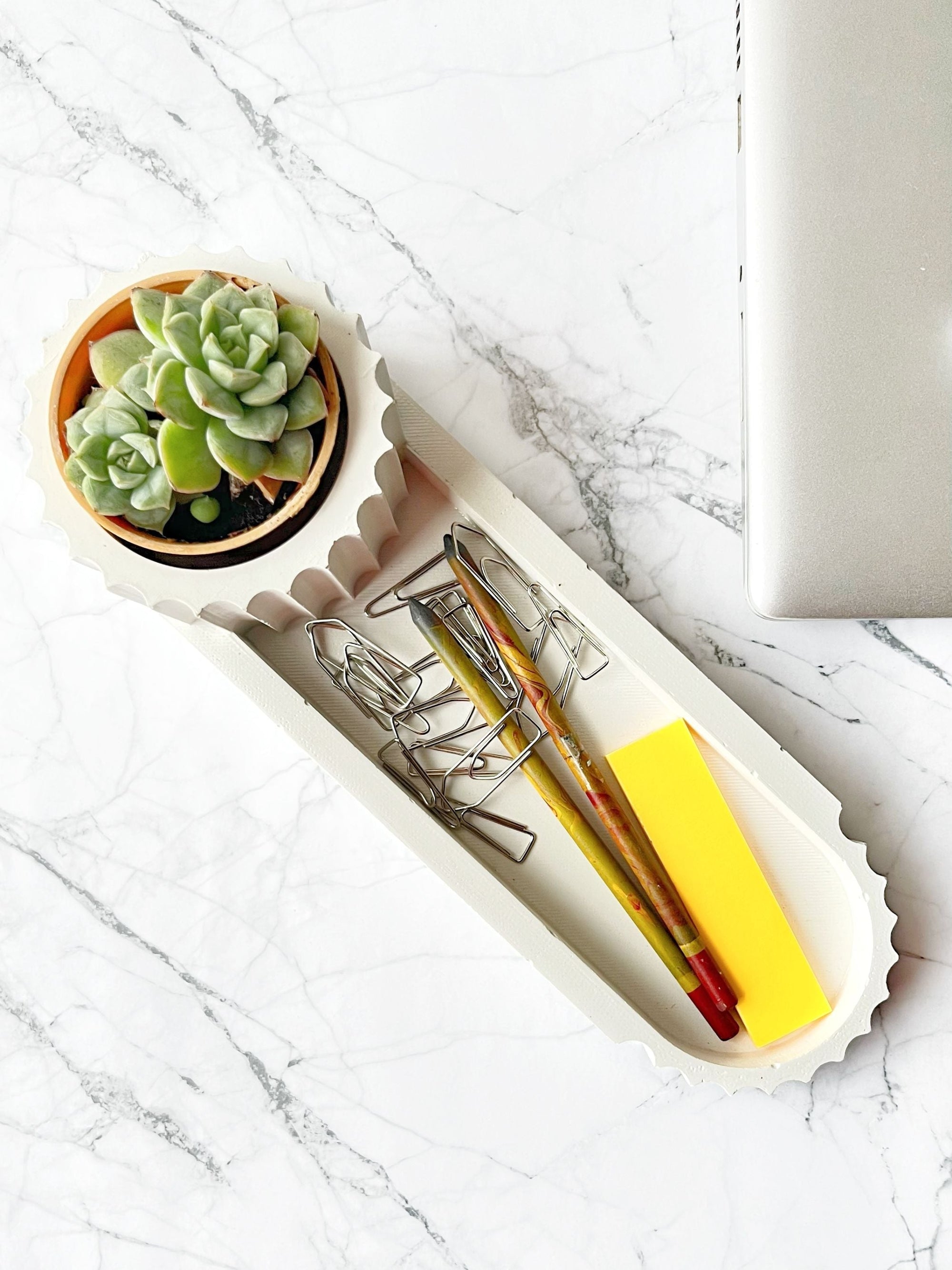 Desk Organiser