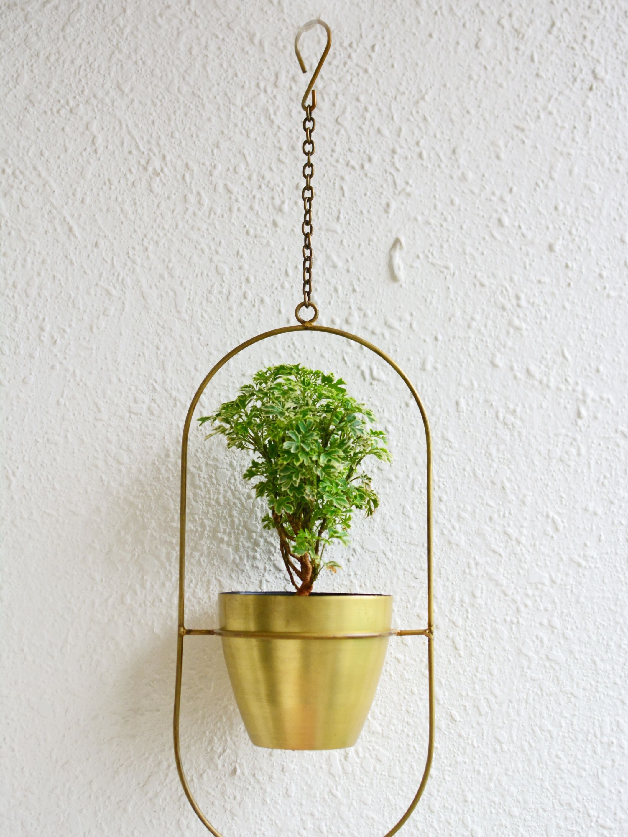Ellipse Hanging Planter