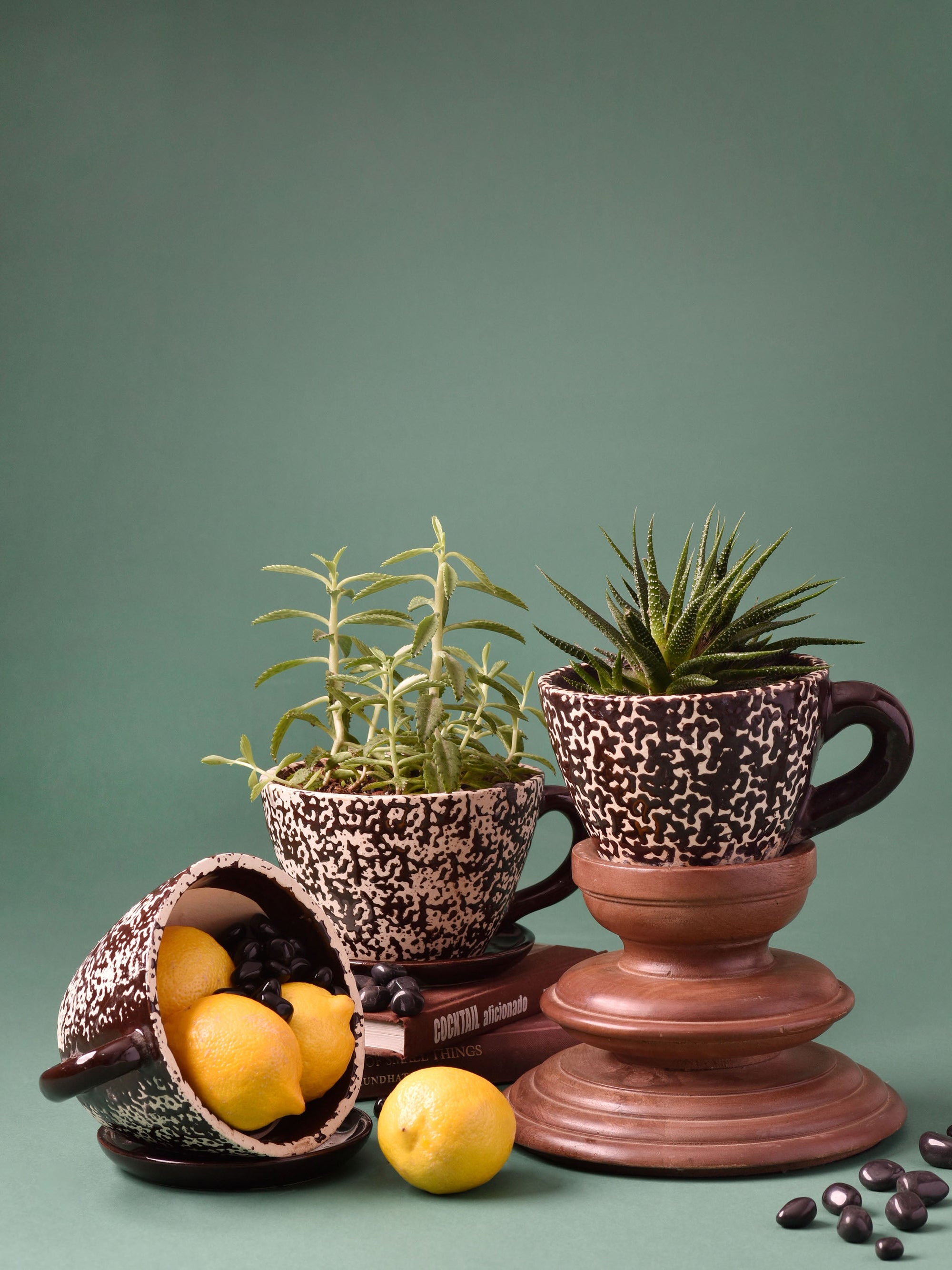 Embossed Cup & Saucer Planter - Brown