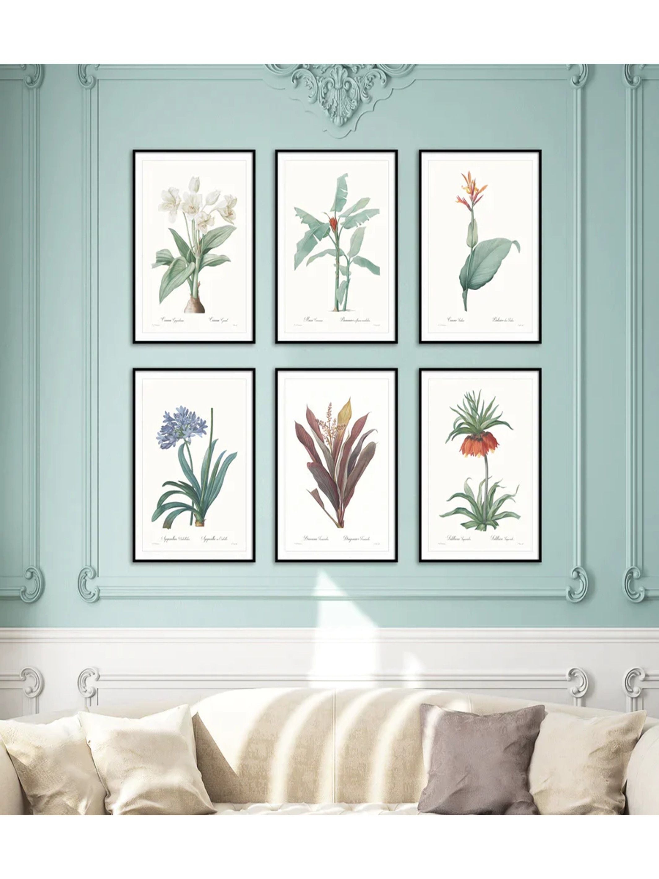 Wall Prints - Canna indica