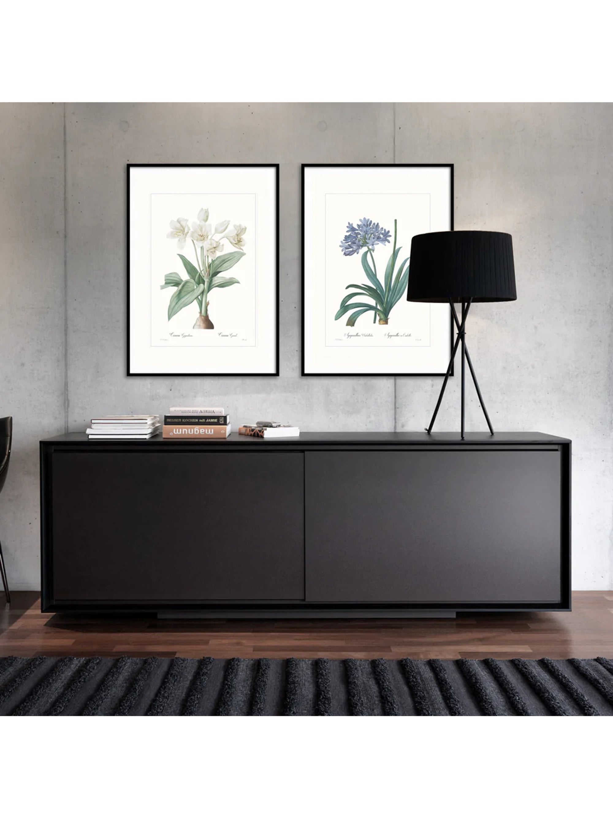 Wall Prints - Agapanthus umbellatus