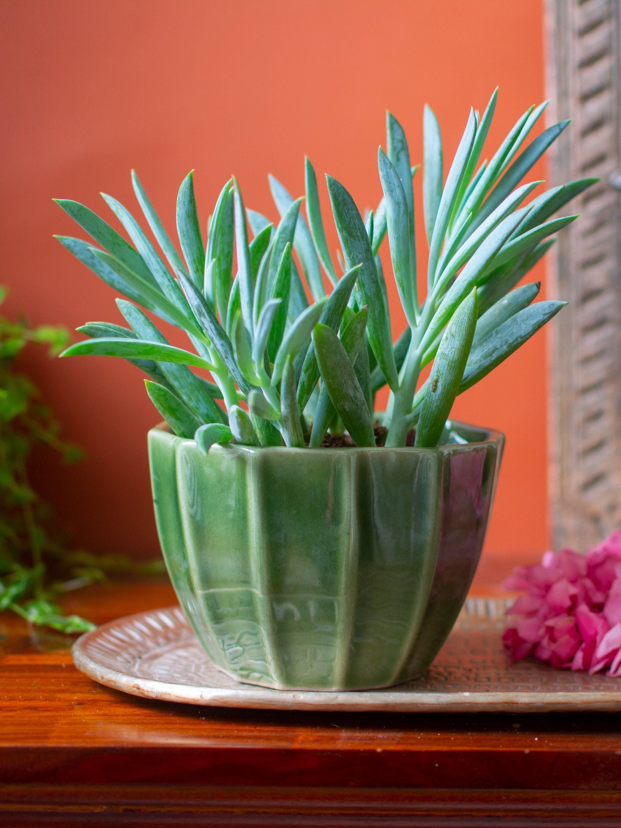 Geometric Ceramic Planter
