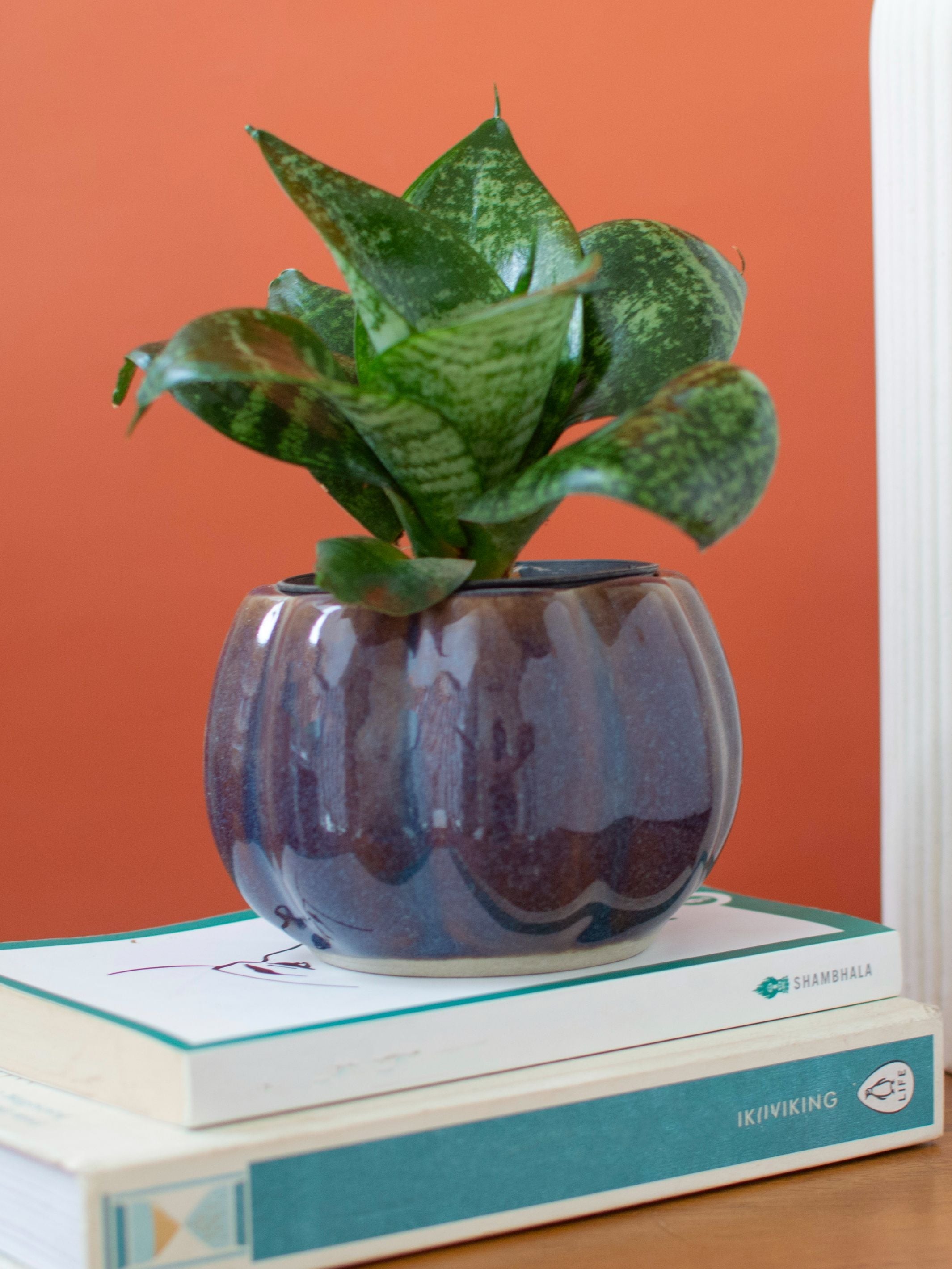 Handcrafted Ceramic Planters Set of 3