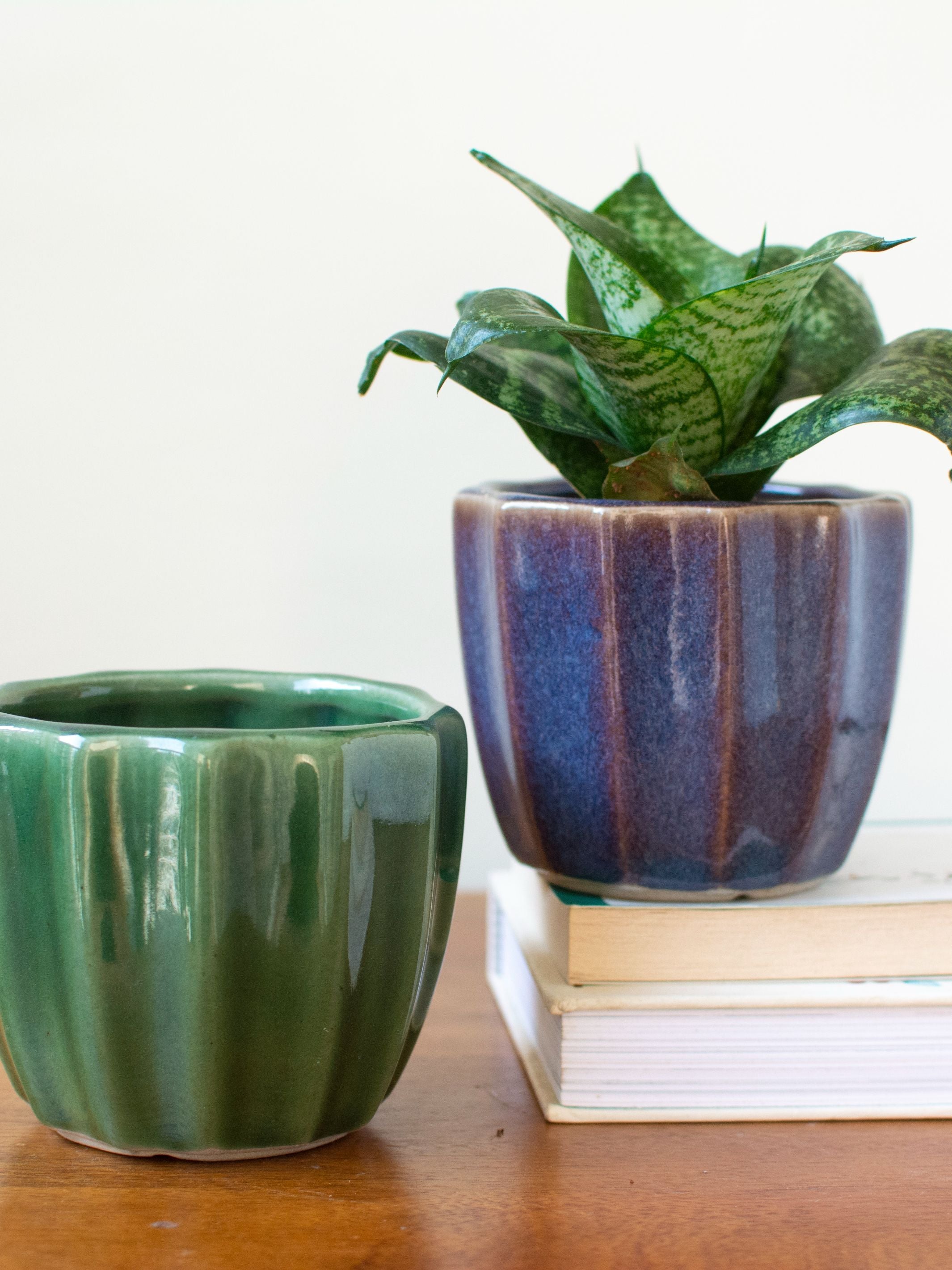 Handmade Ceramic Succulent Planter Set of 2