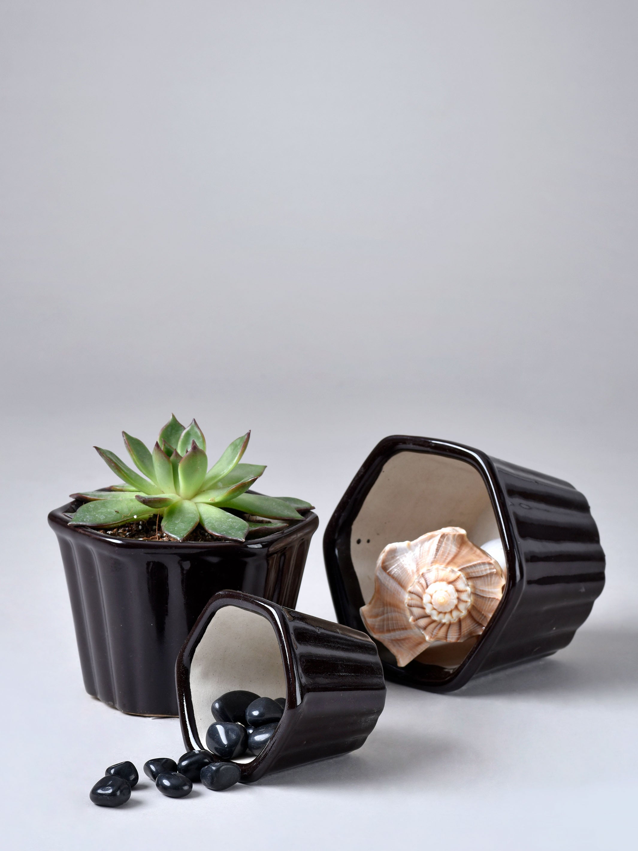 Hexagon Stripe Ceramic Planter