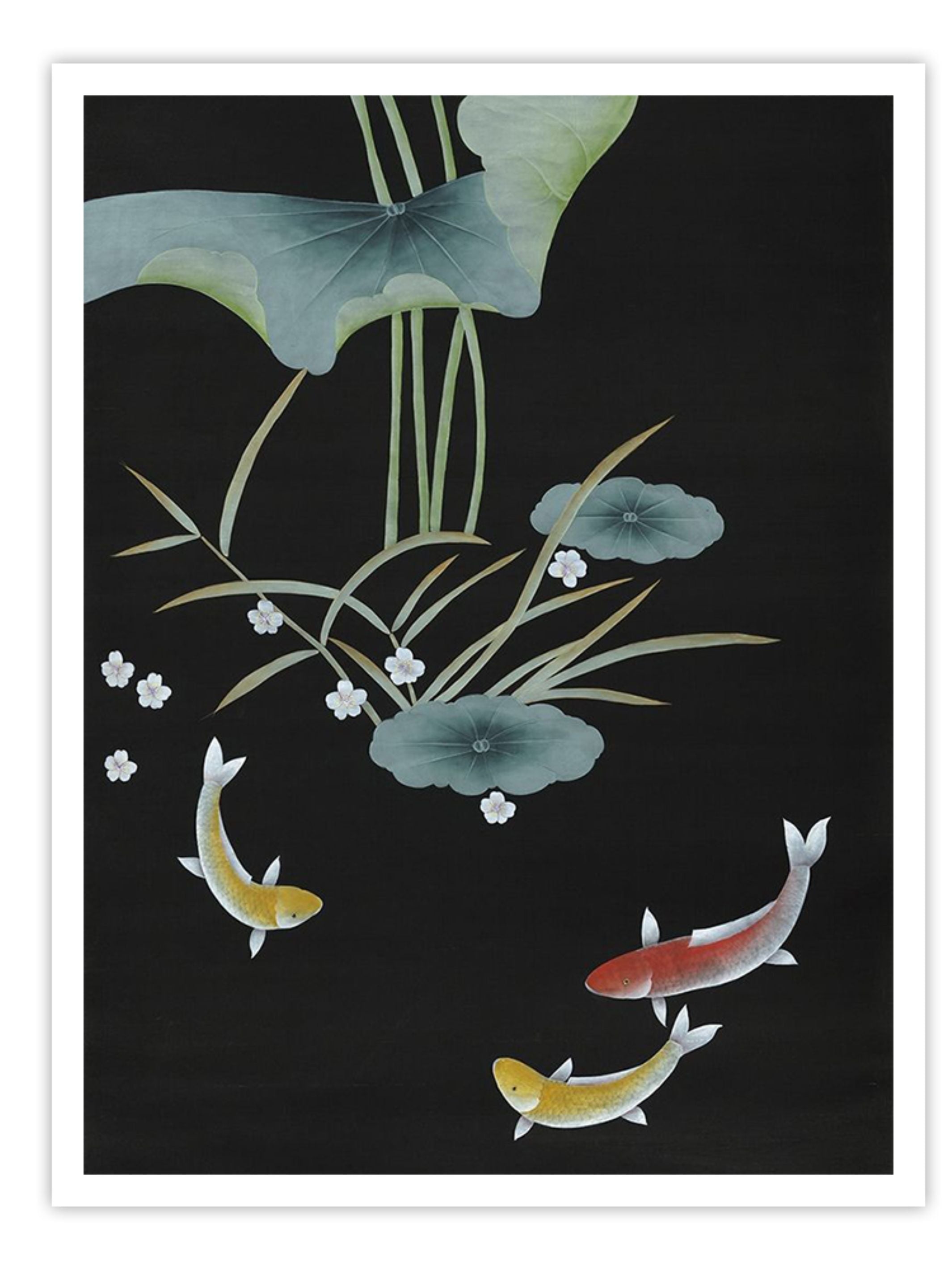 Wall Prints - Koi III