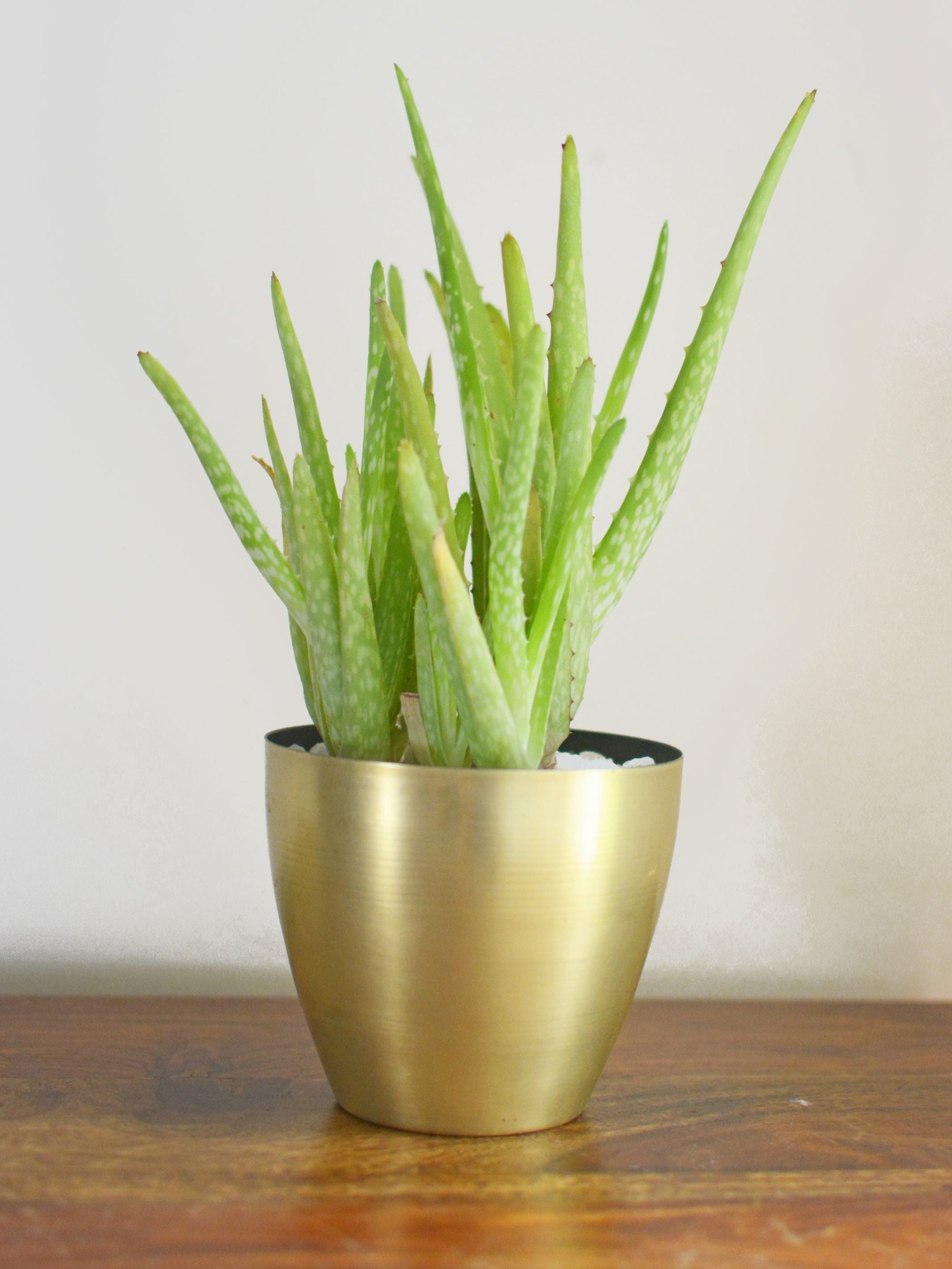 Nash Minimal Planter