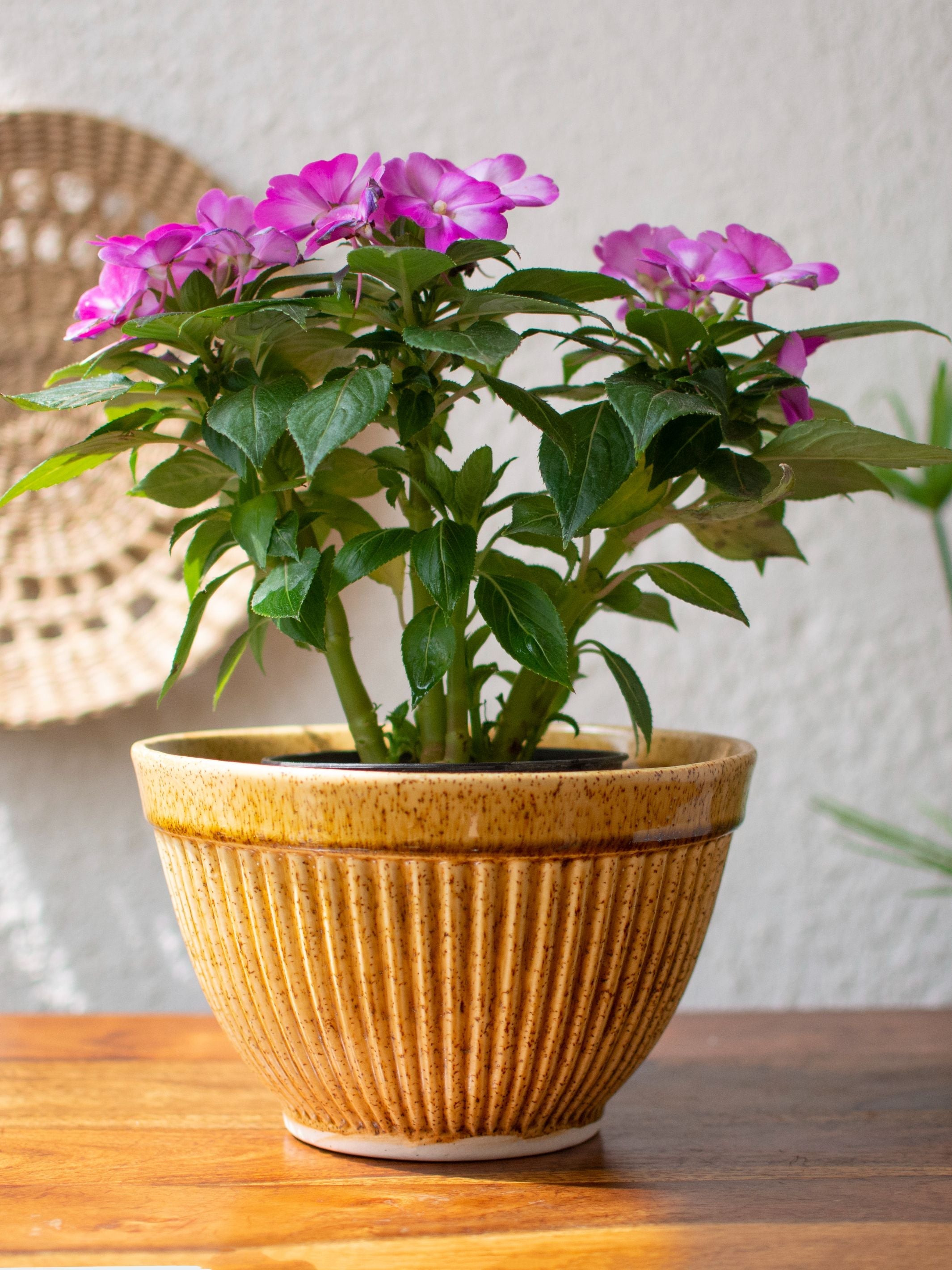Ochre Textured Ceramic Planter Large