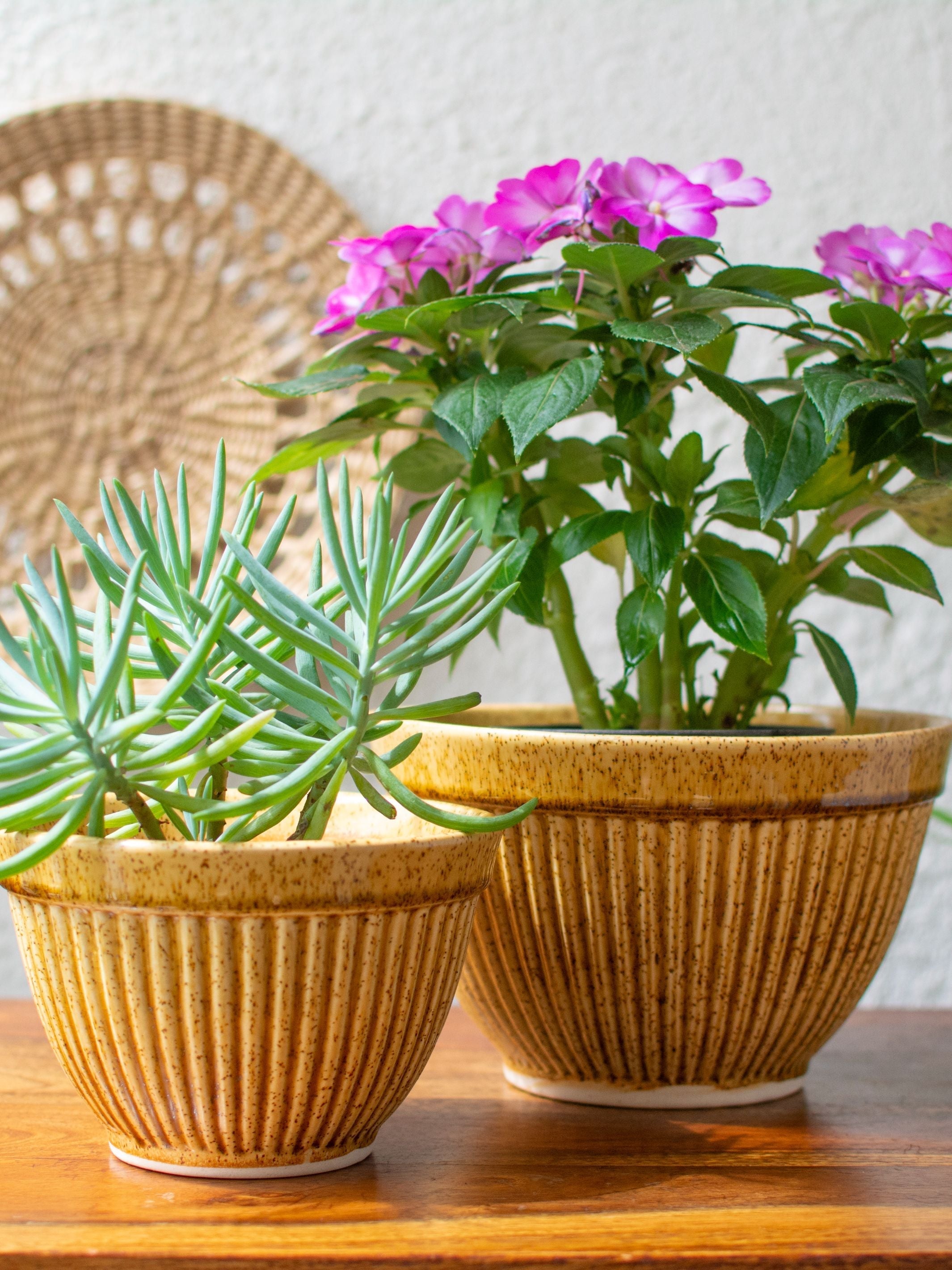 Ochre Textured Ceramic Planter