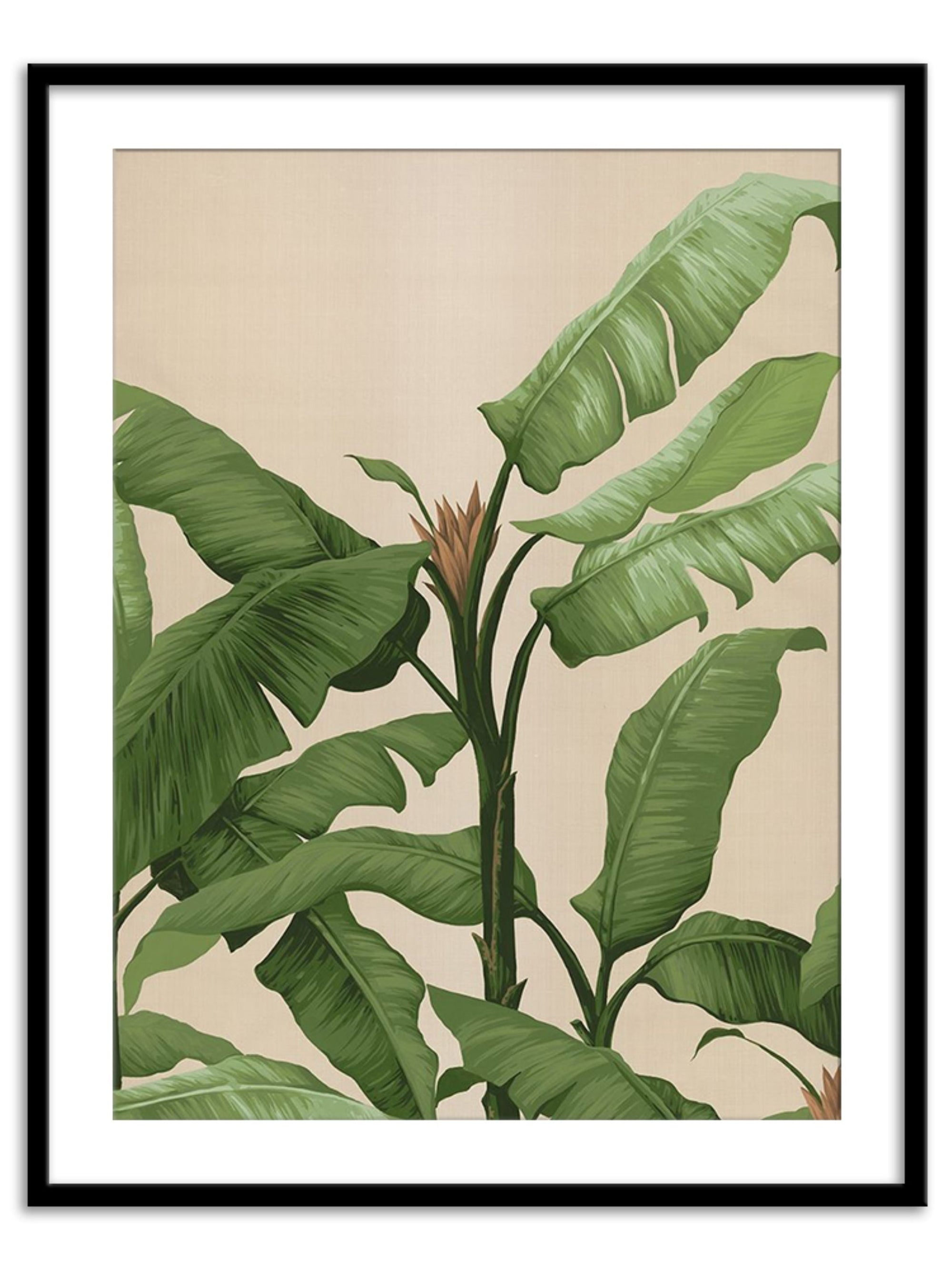 Wall Prints - Panama II