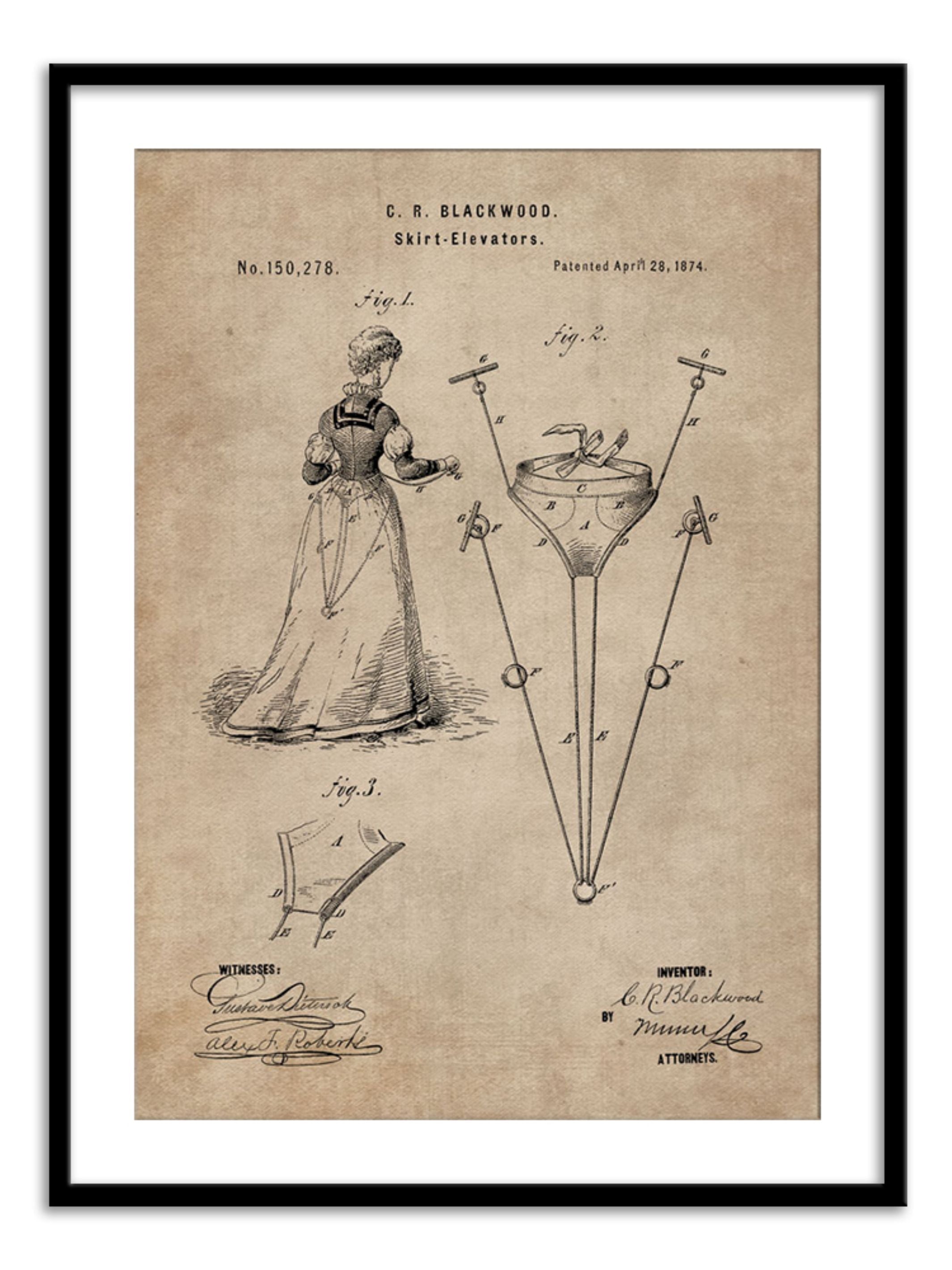 Wall Prints - Patent Document of a Skirt Elevator