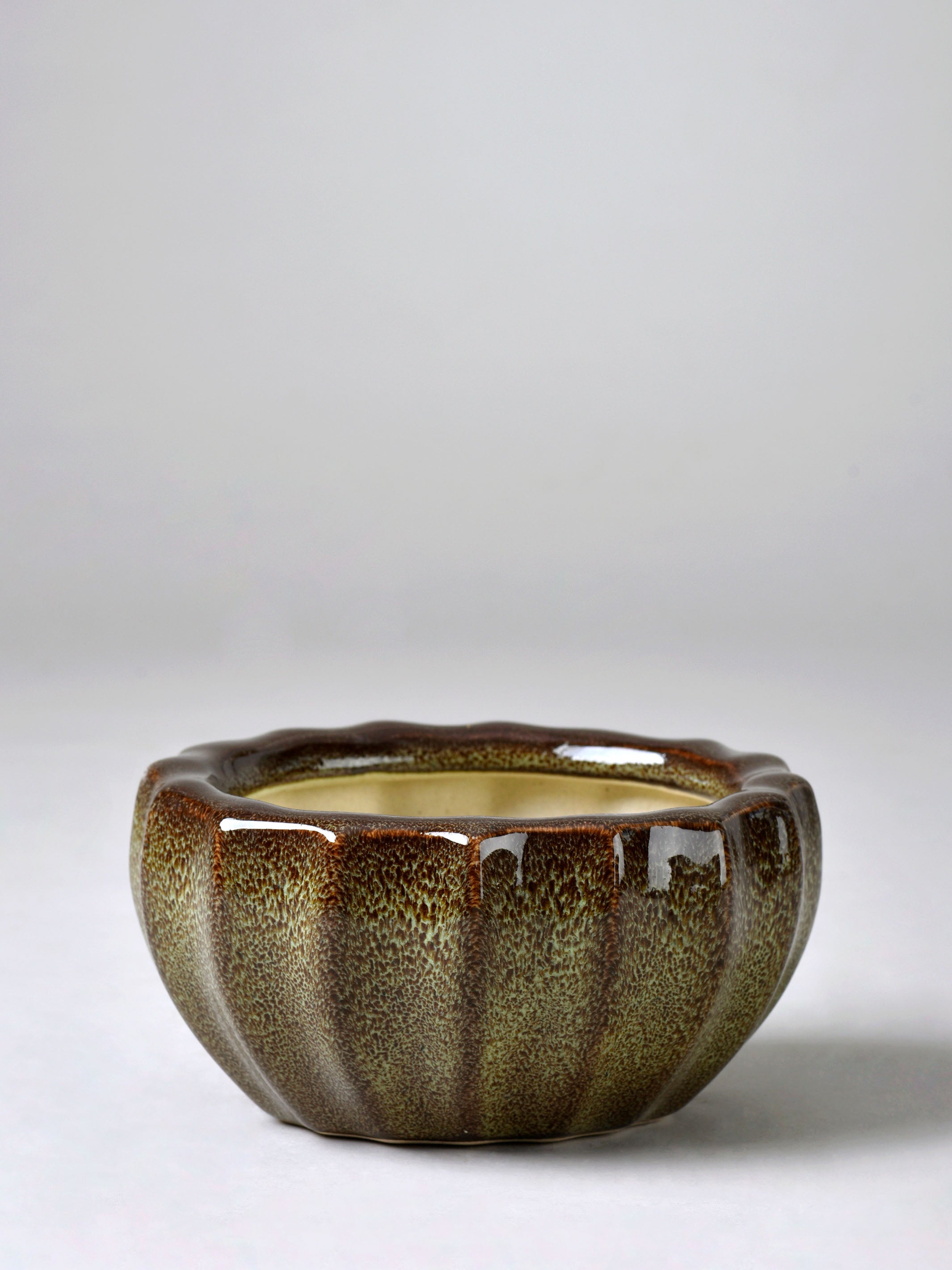 Ribbed Ceramic Fern Planter