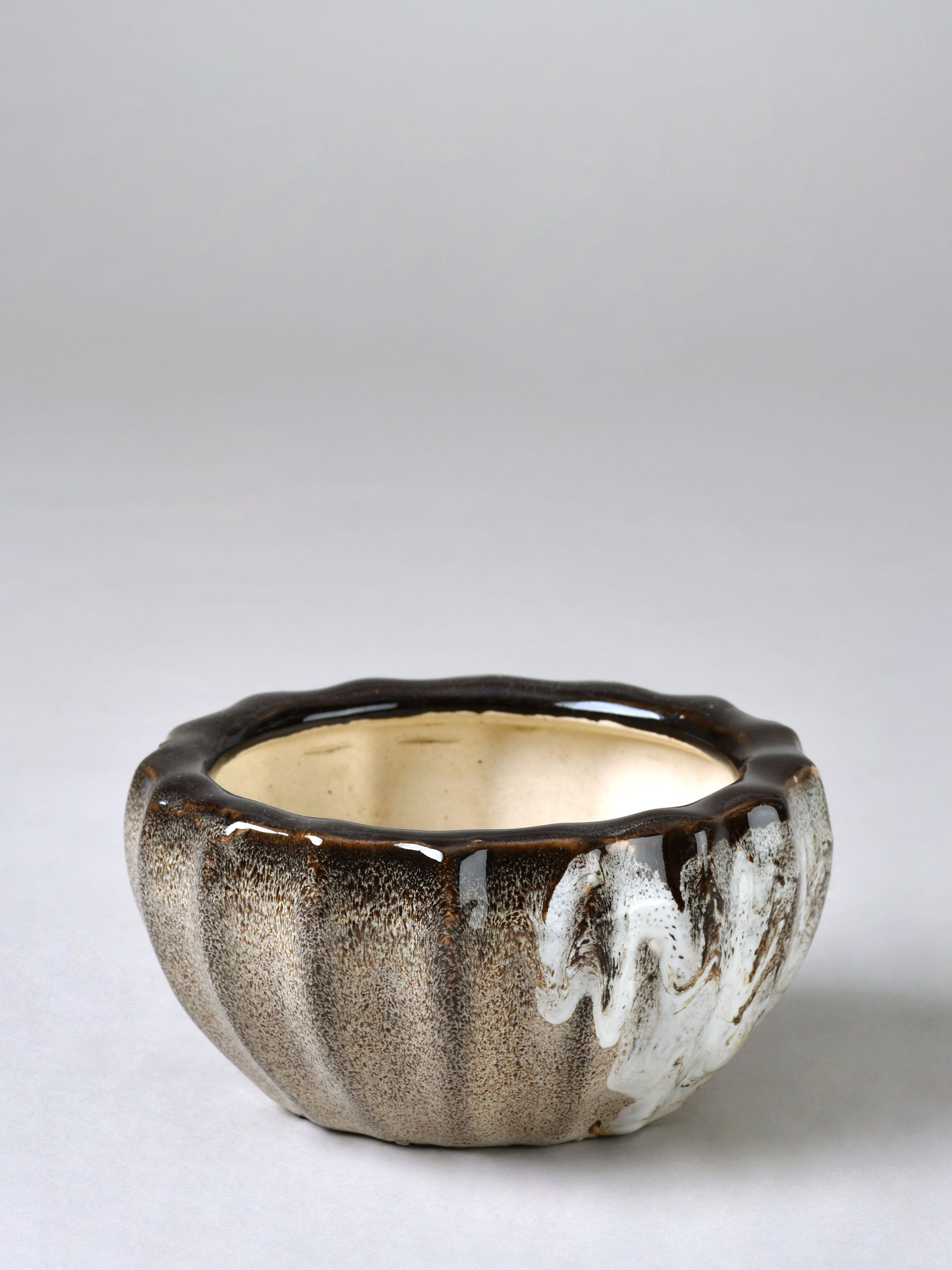 Ribbed Ceramic Fern Planter