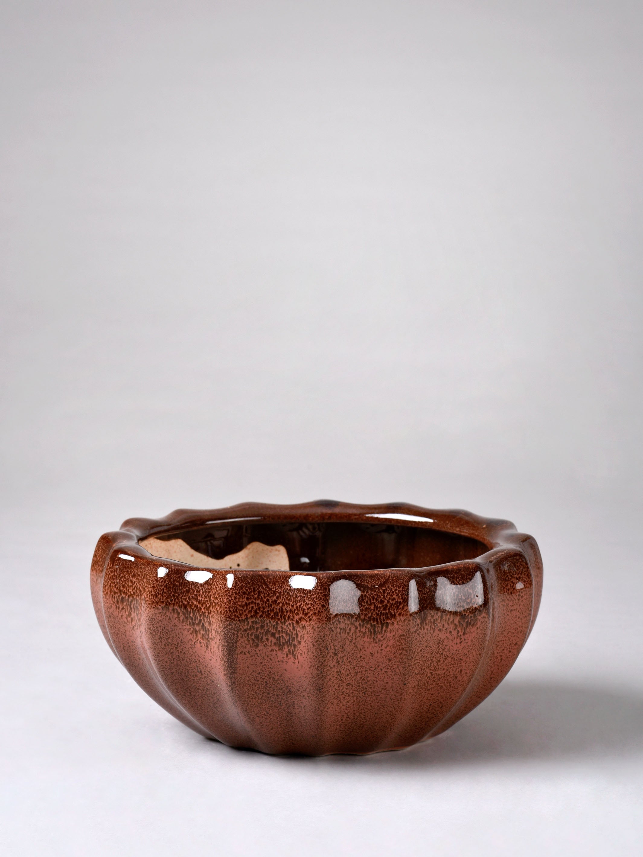 Ribbed Ceramic Fern Planter