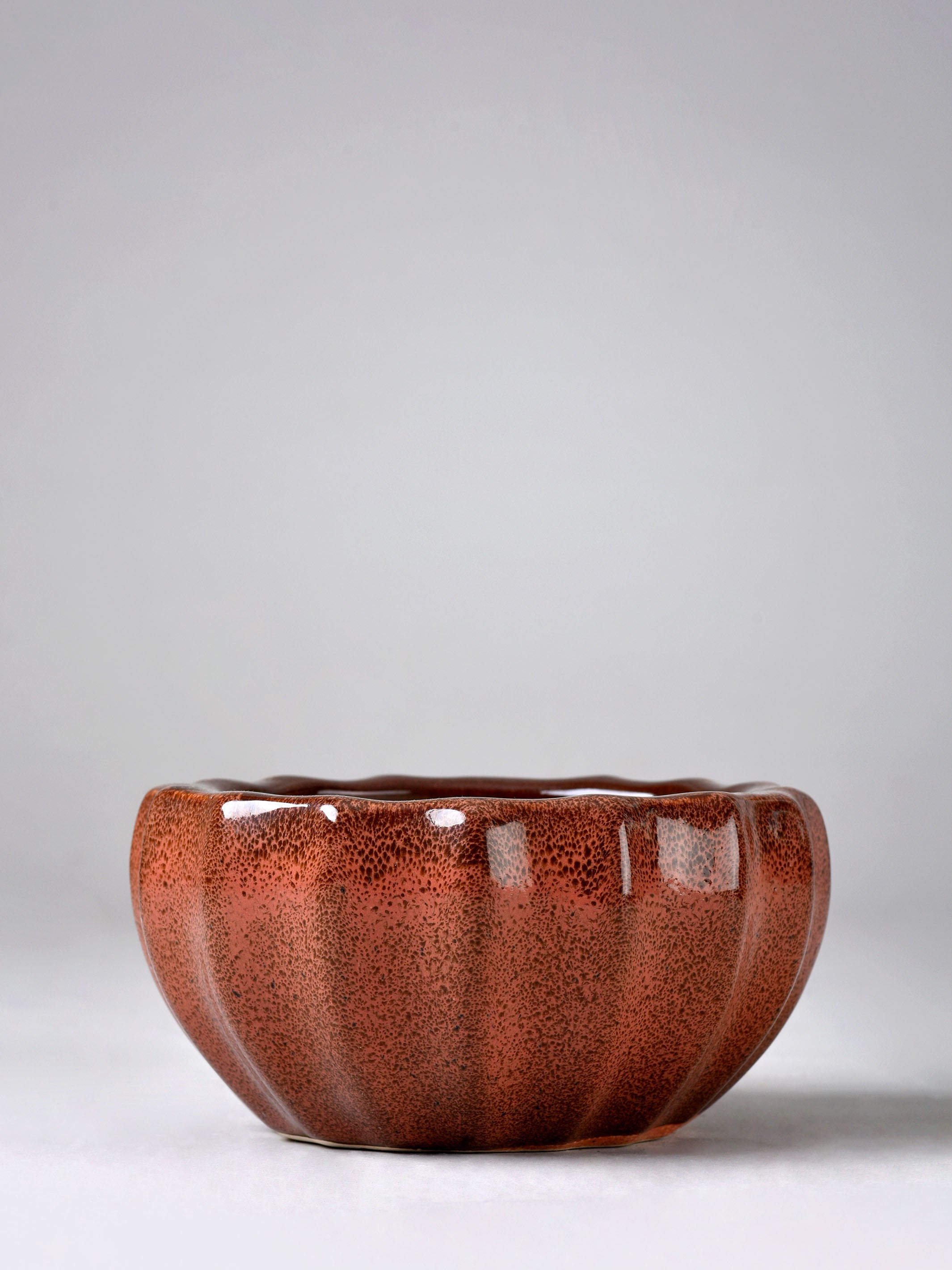 Ribbed Ceramic Fern Planter