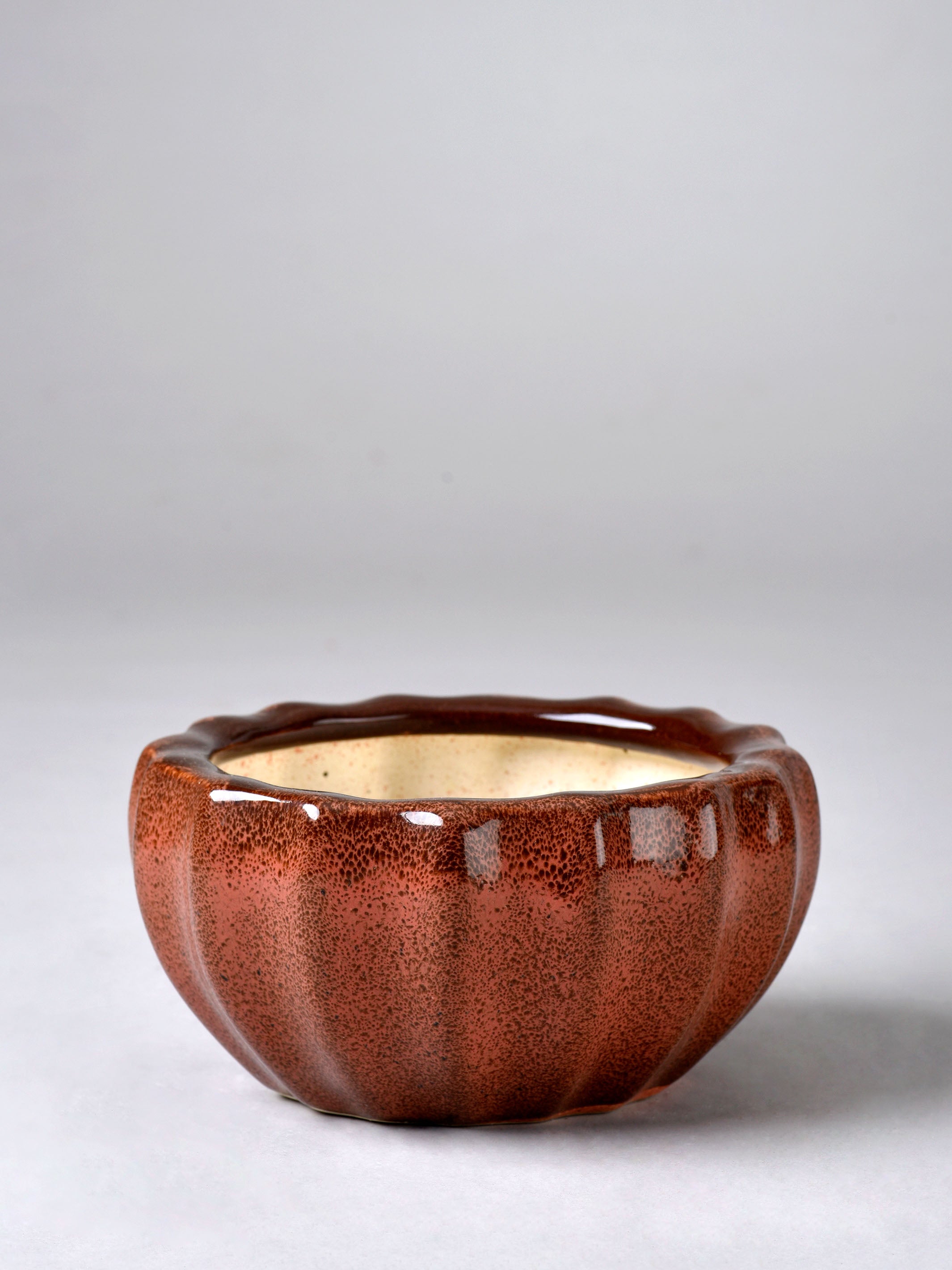 Ribbed Ceramic Fern Planter