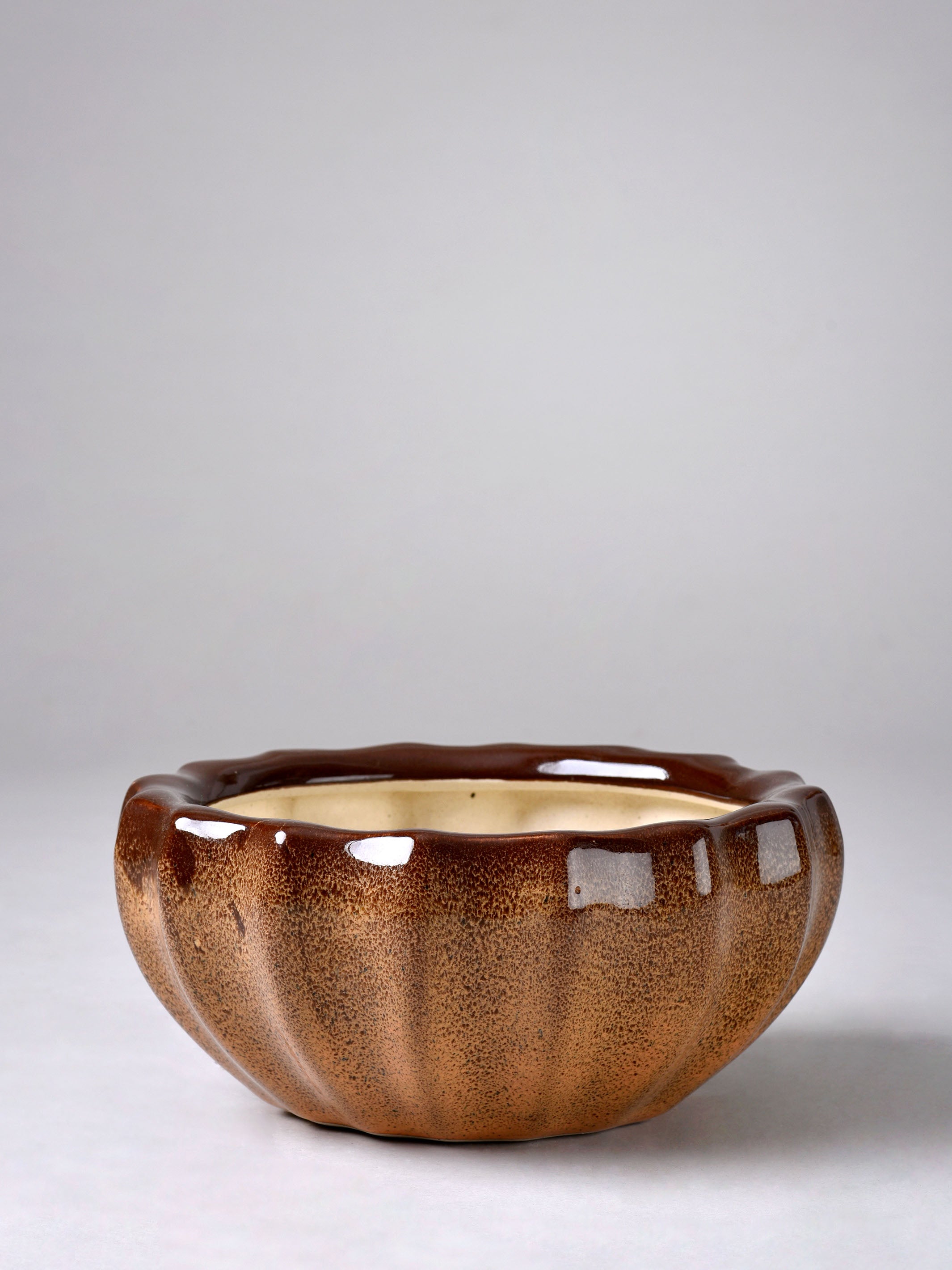 Ribbed Ceramic Fern Planter