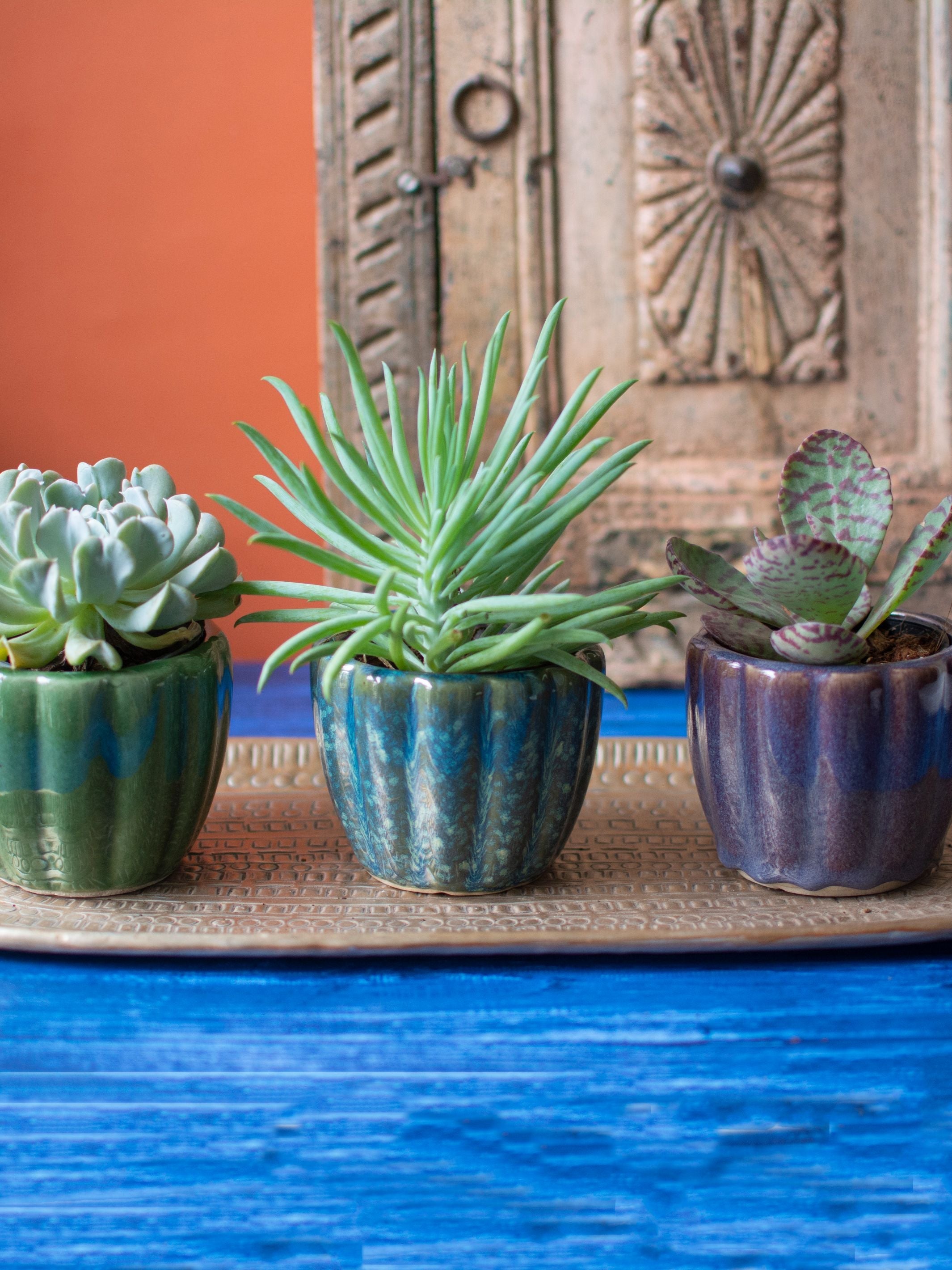 Ridged Ceramic Succulent Planter Set of 2