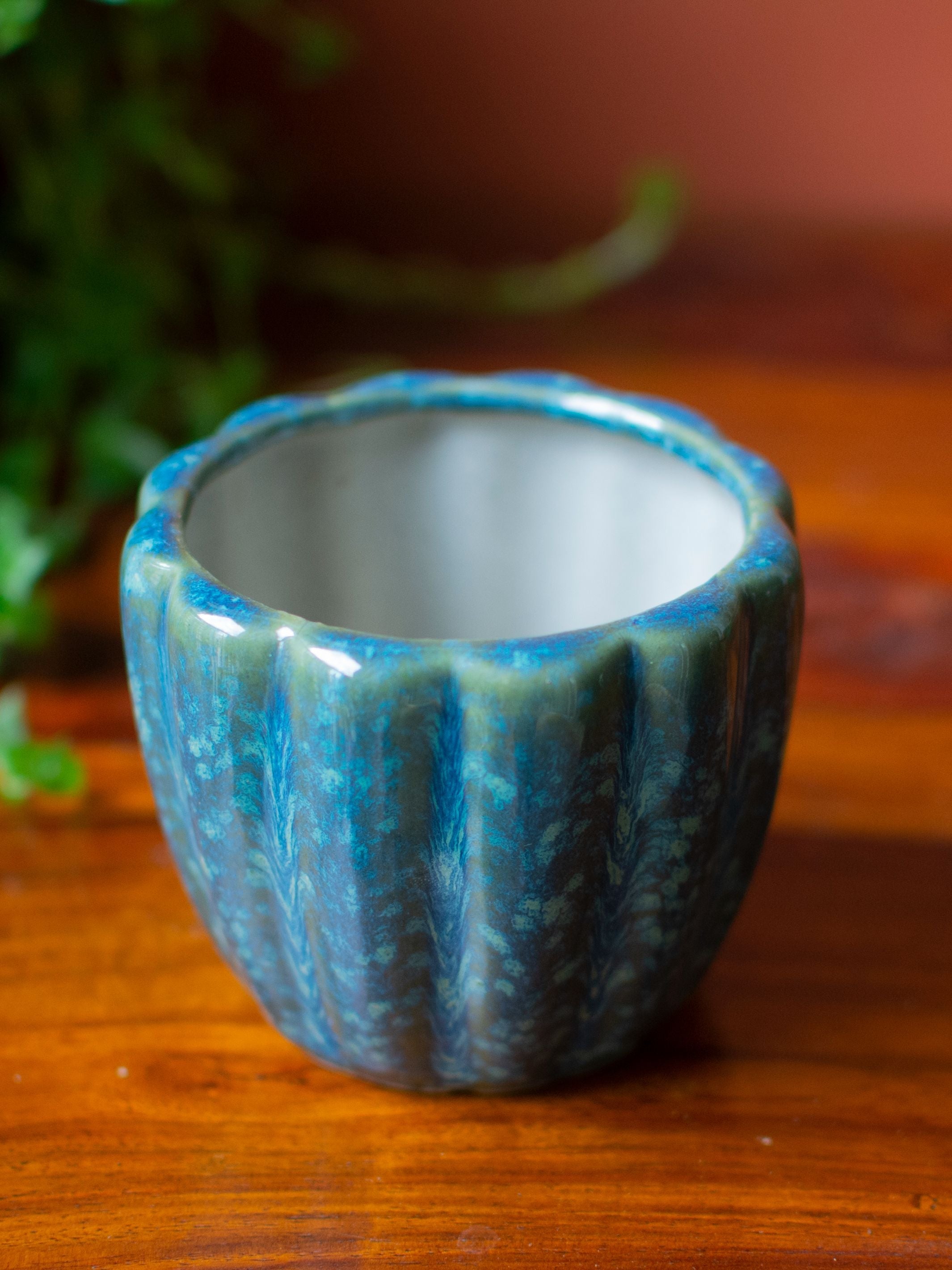 Ridged Ceramic Succulent Planter Set of 2