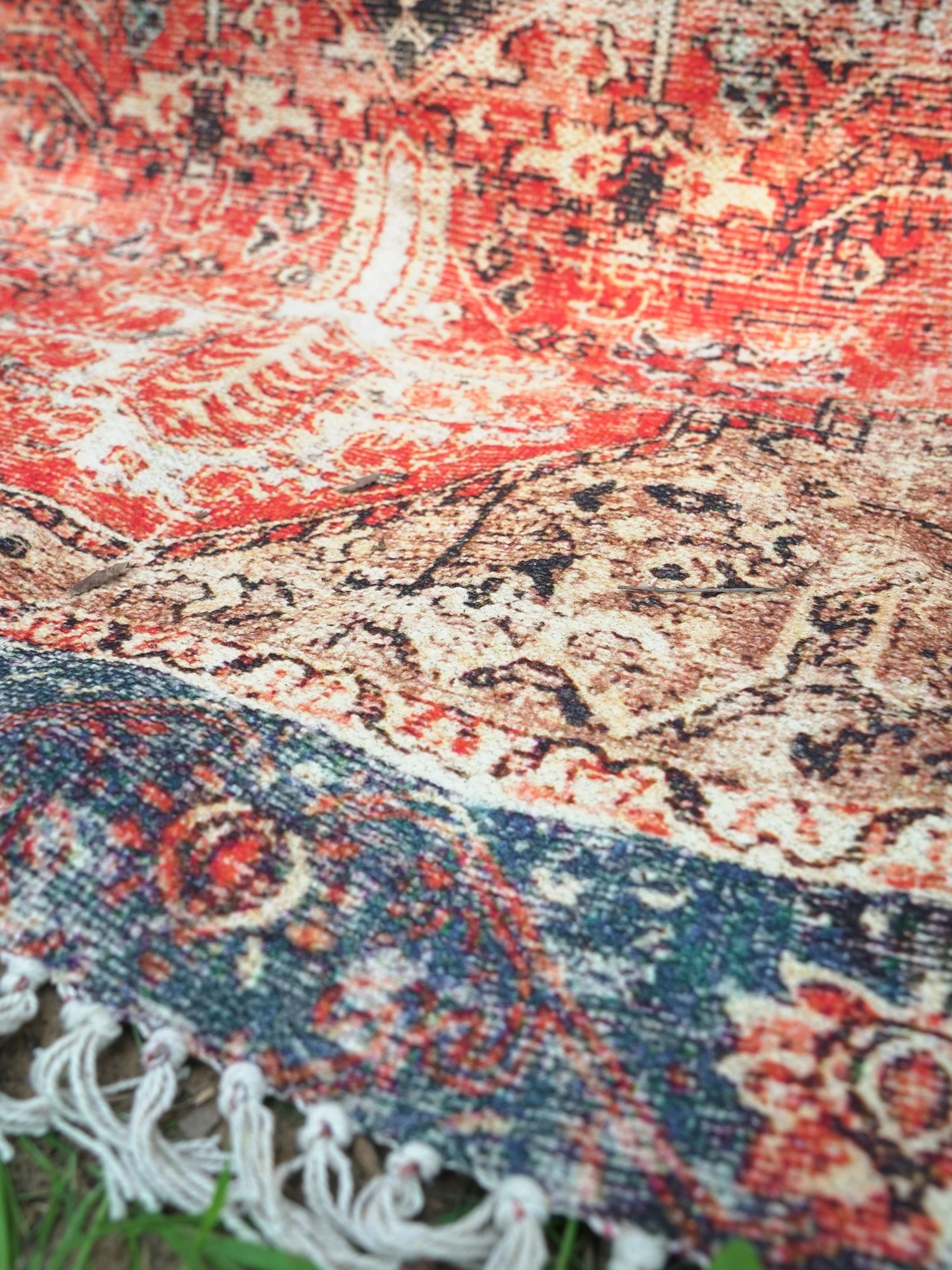 Roest Printed Cotton Rug