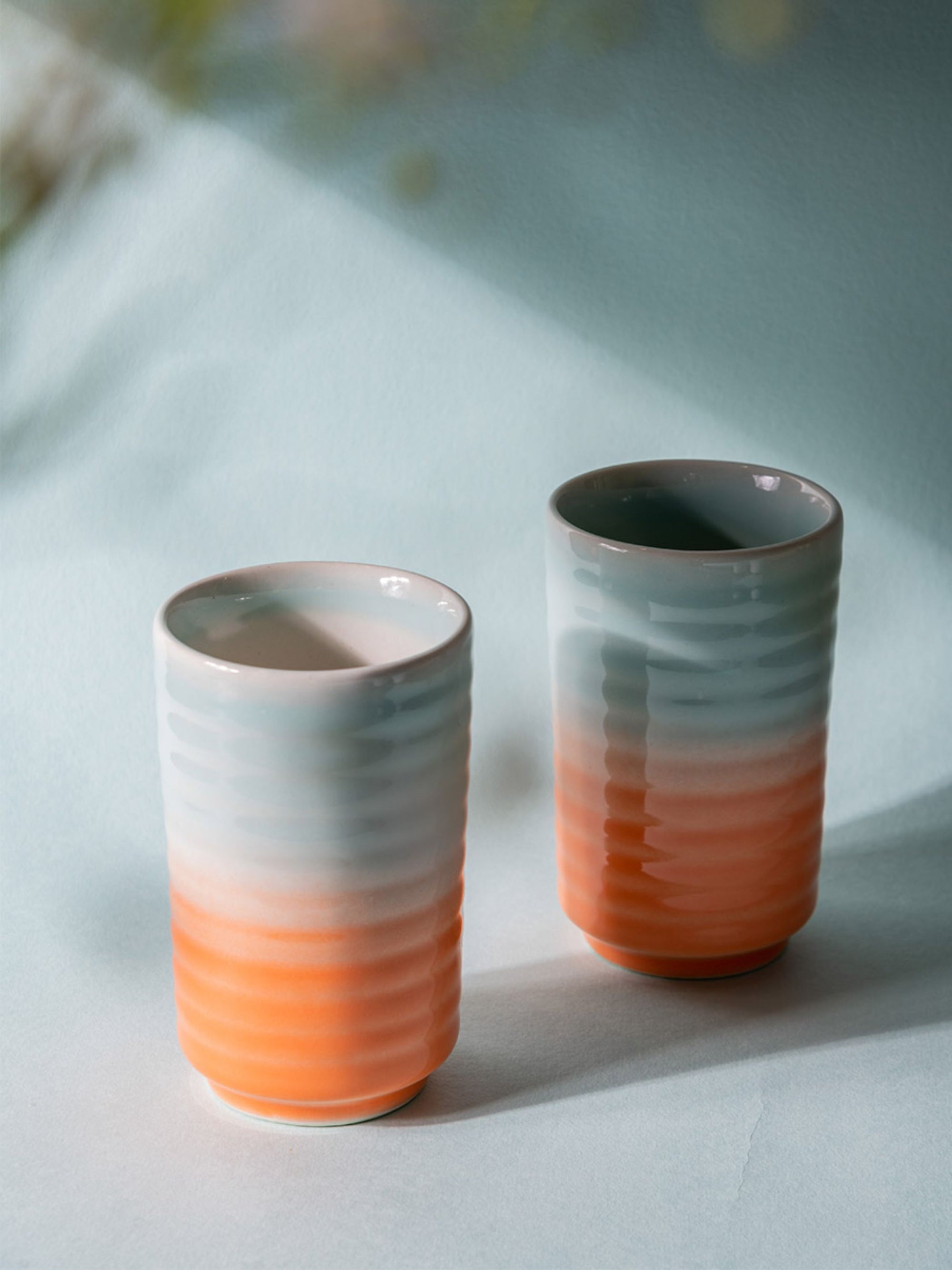 Ribbed Tumbler Set of 2 - Shaded
