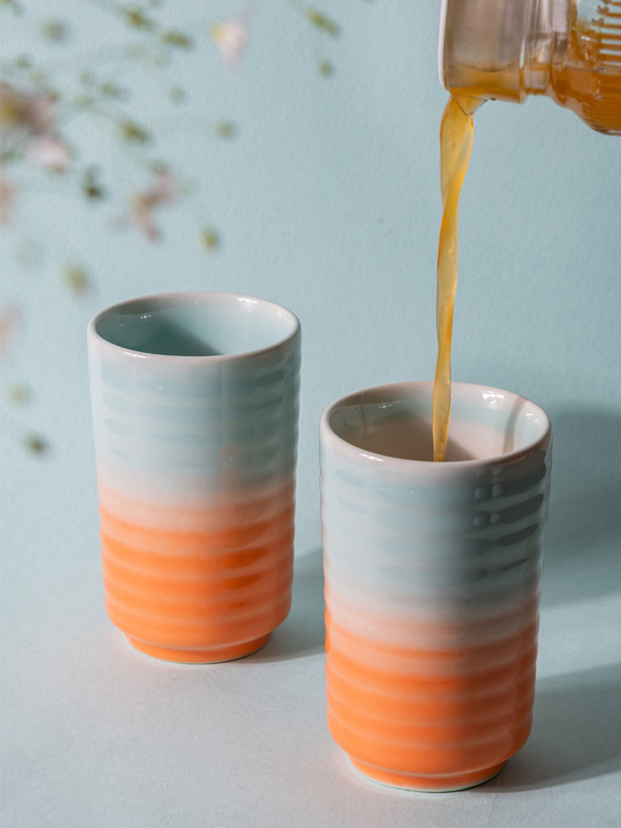 Ribbed Tumbler Set of 2 - Shaded
