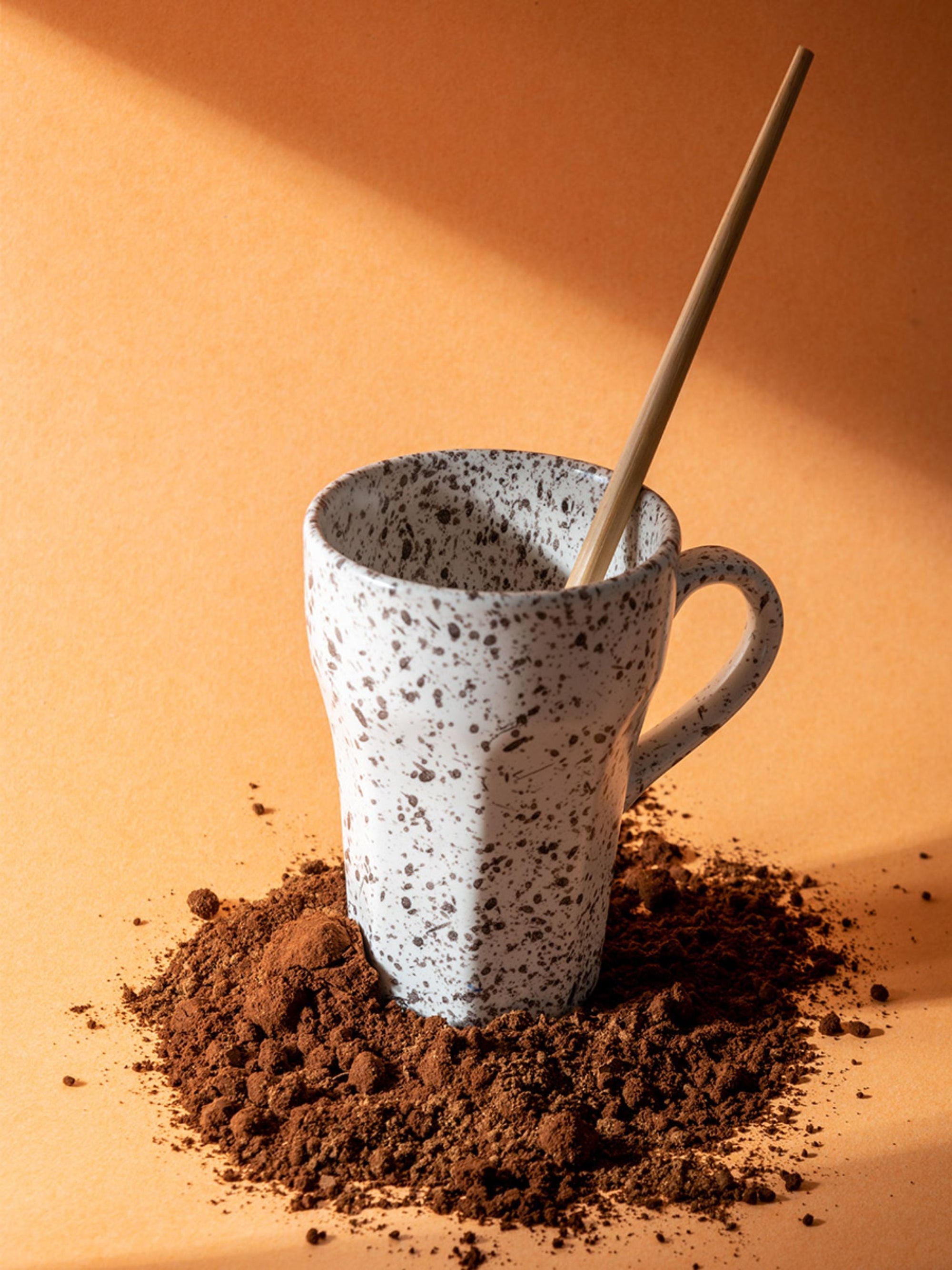 Speckled Mug Set of 2