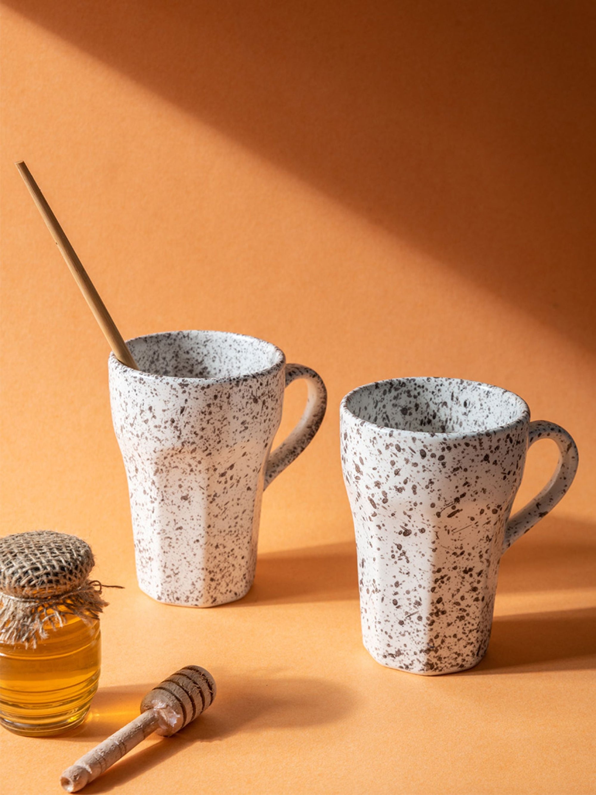 Speckled Mug Set of 2