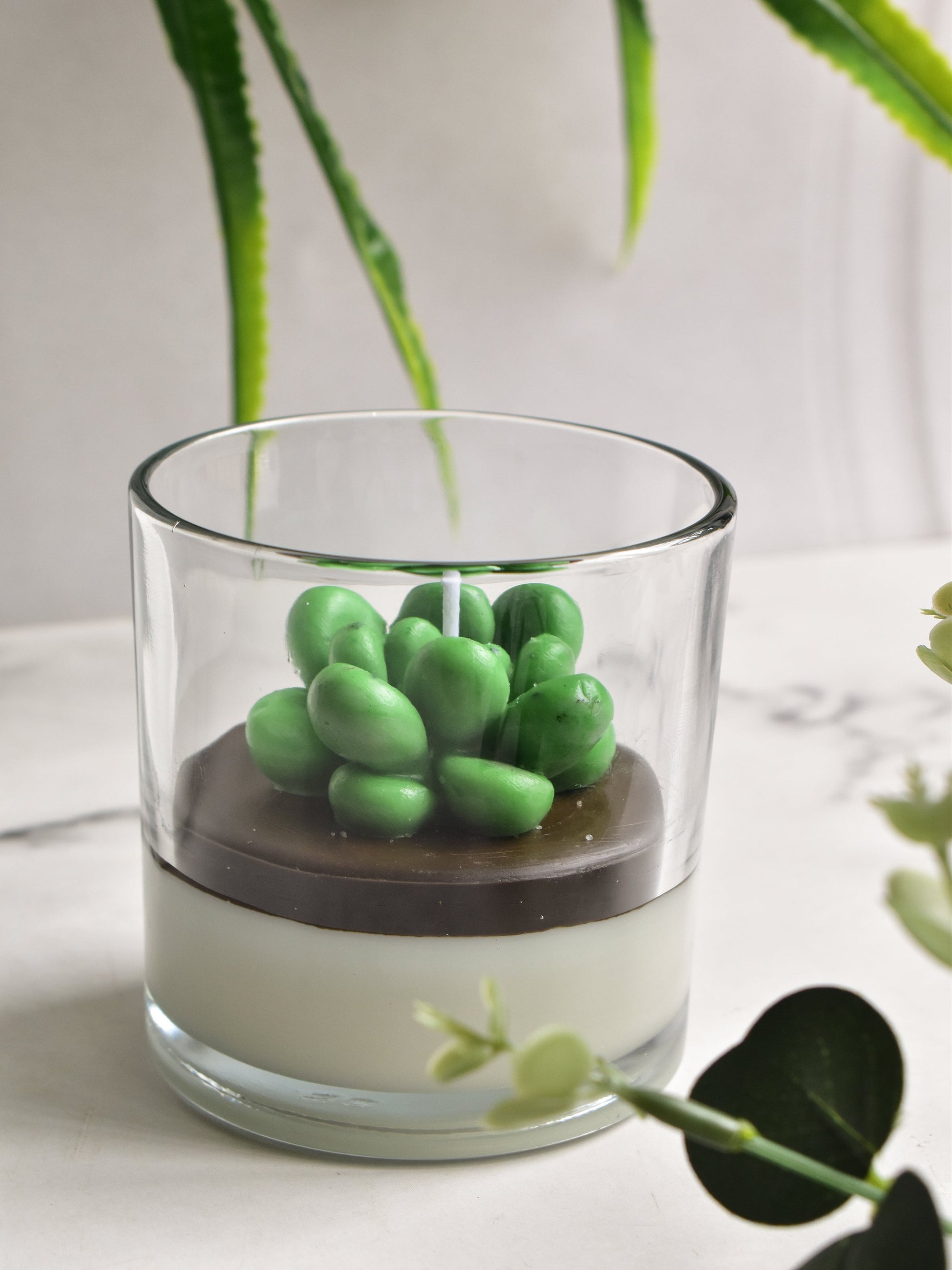 Echeveria Succulent Candle