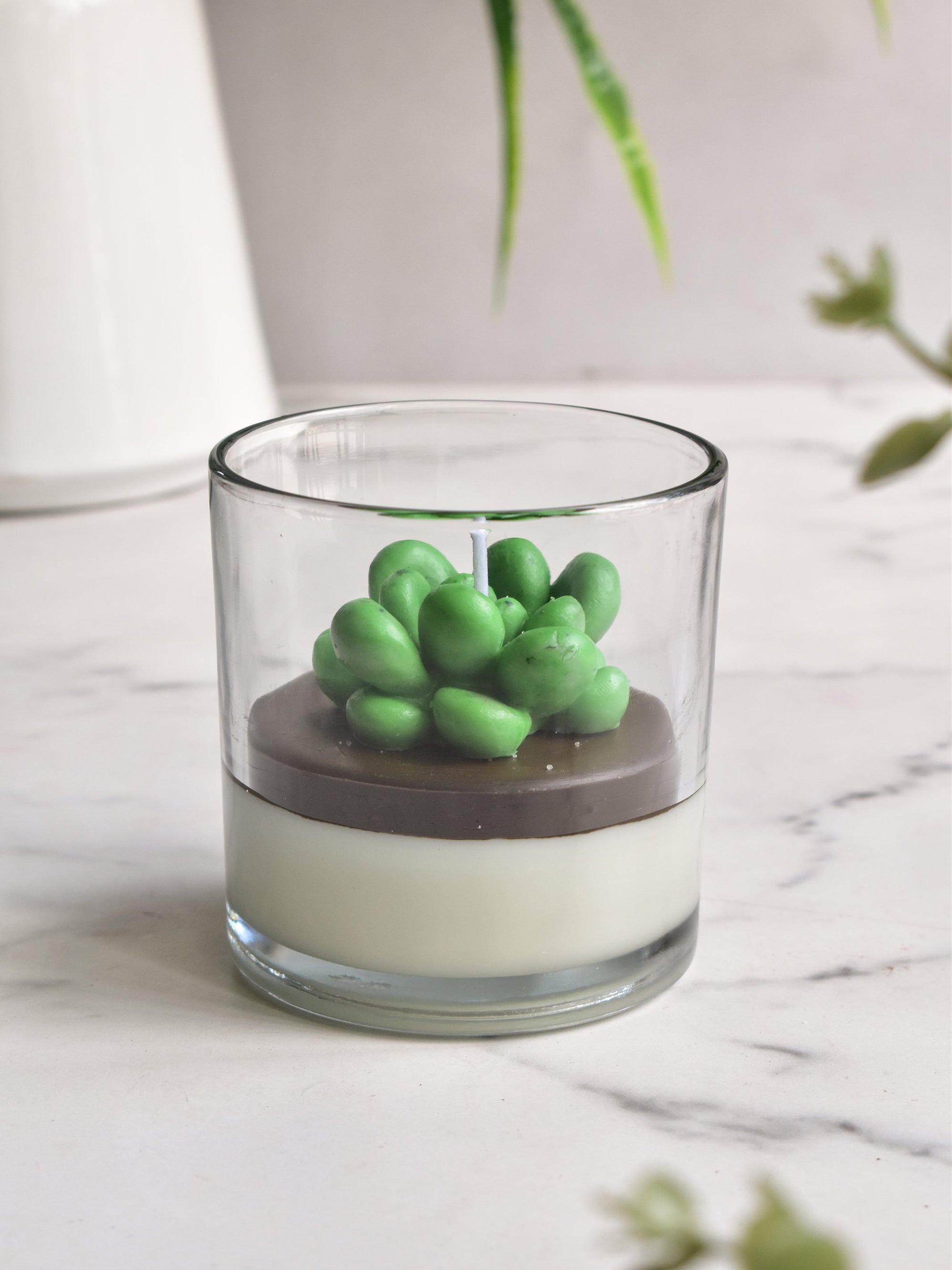 Echeveria Succulent Candle