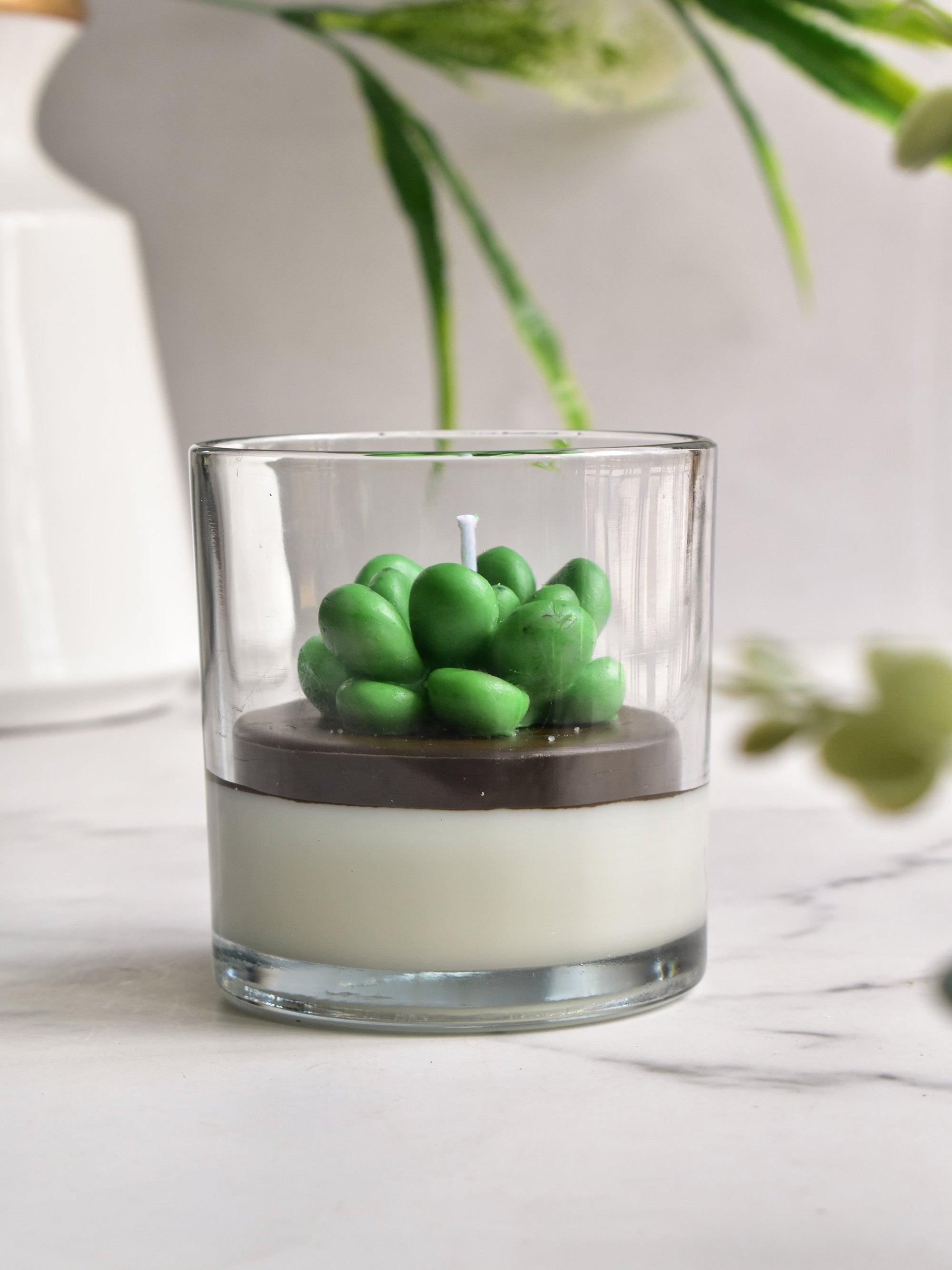 Echeveria Succulent Candle