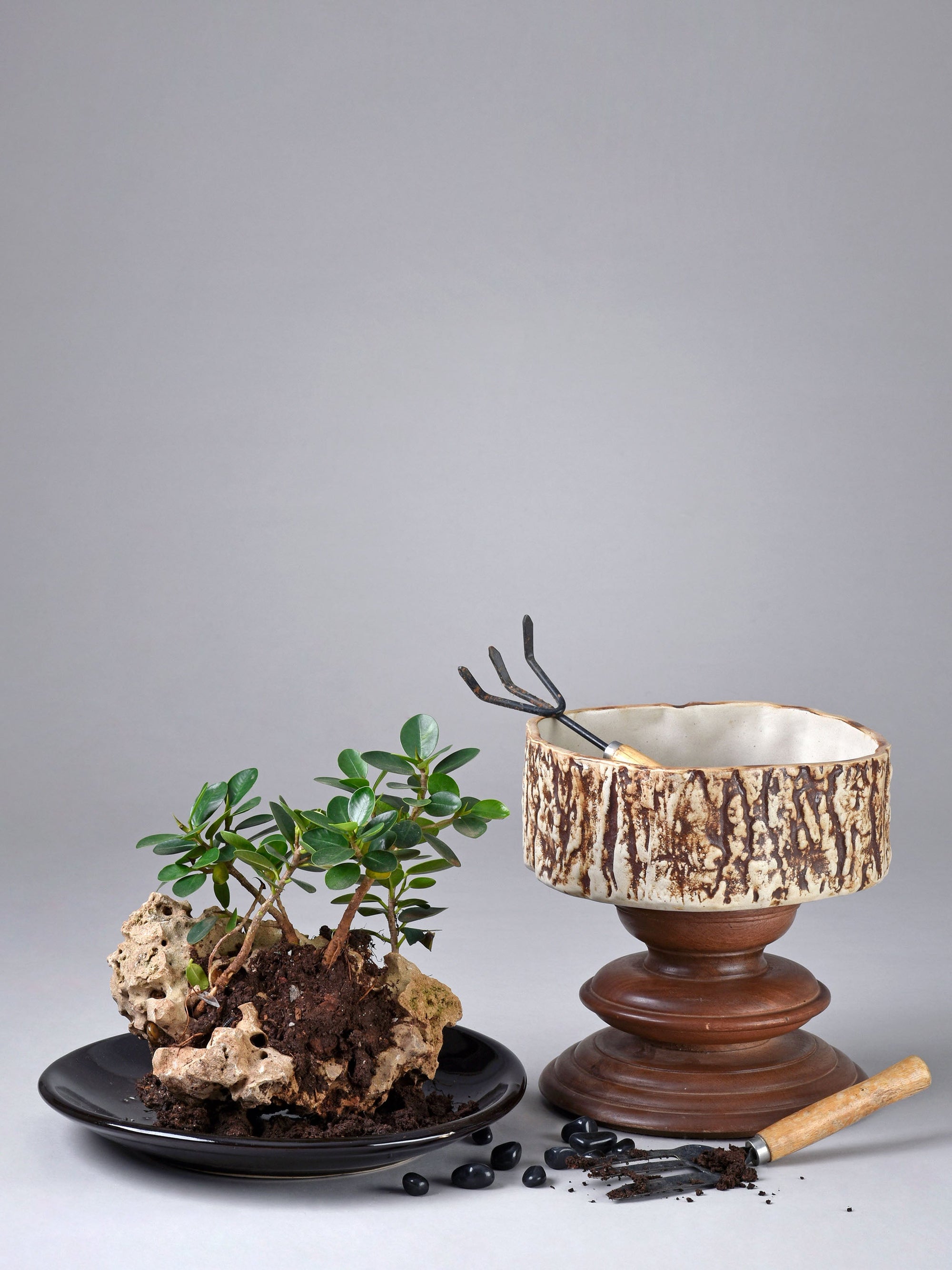 Tree Trunk Circlet Planter