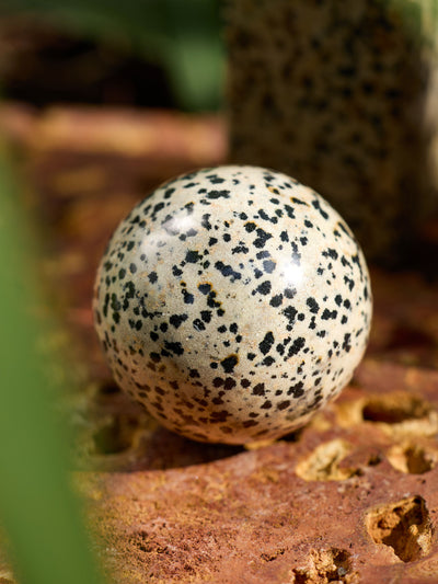 Semi-precious Gemstone - Dalmatian Jasper Sphere