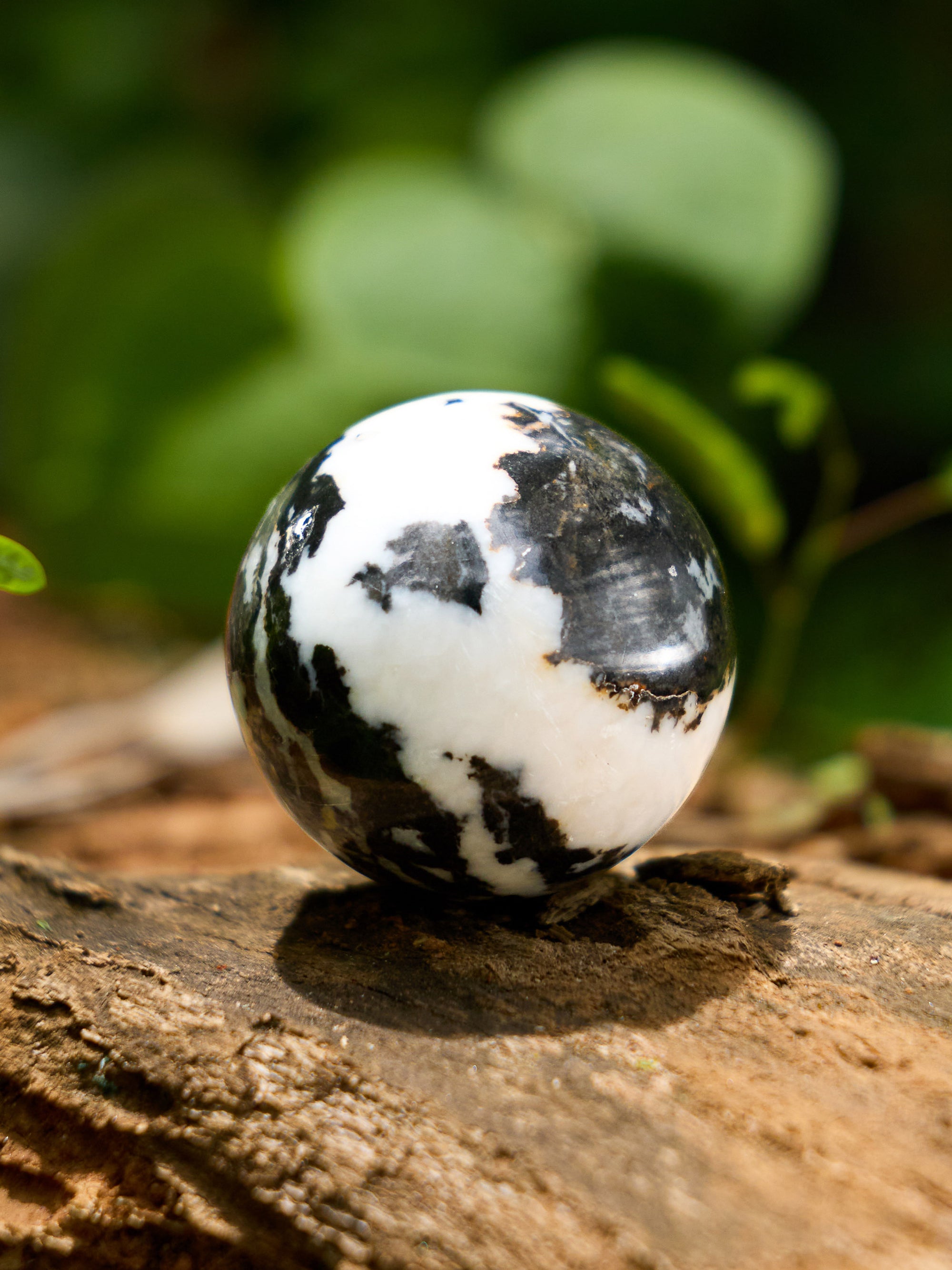Semi-precious Gemstone - Zebra Jasper Sphere
