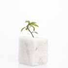 Semi Precious Planter - White