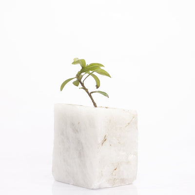 Semi Precious Planter - White