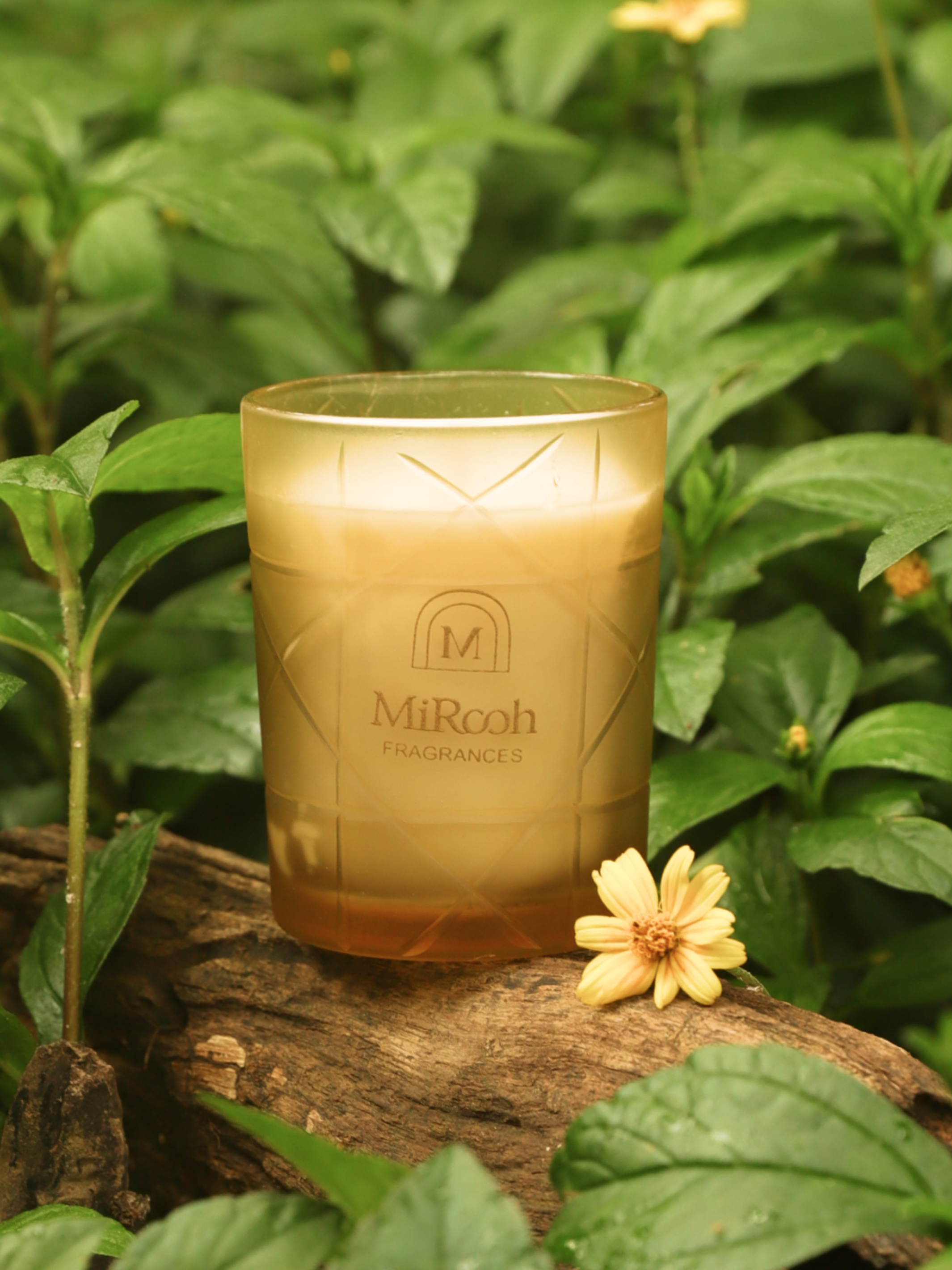 Tangy Mocha Candle