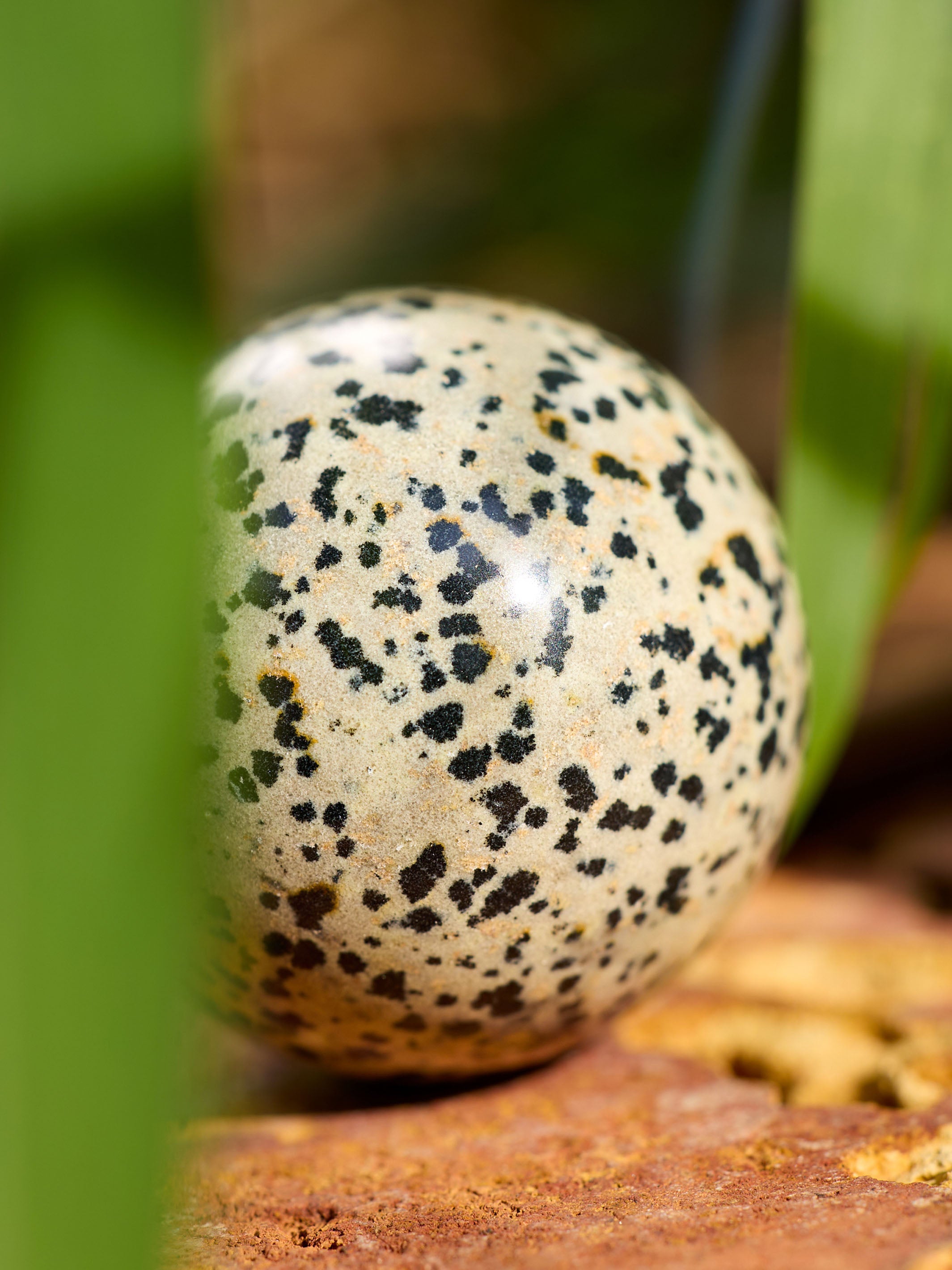 Semi-precious Gemstone - Dalmatian Jasper Sphere
