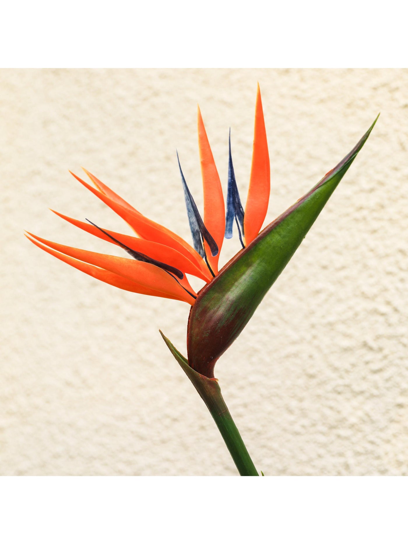 Artificial Flower: Bird of Paradise