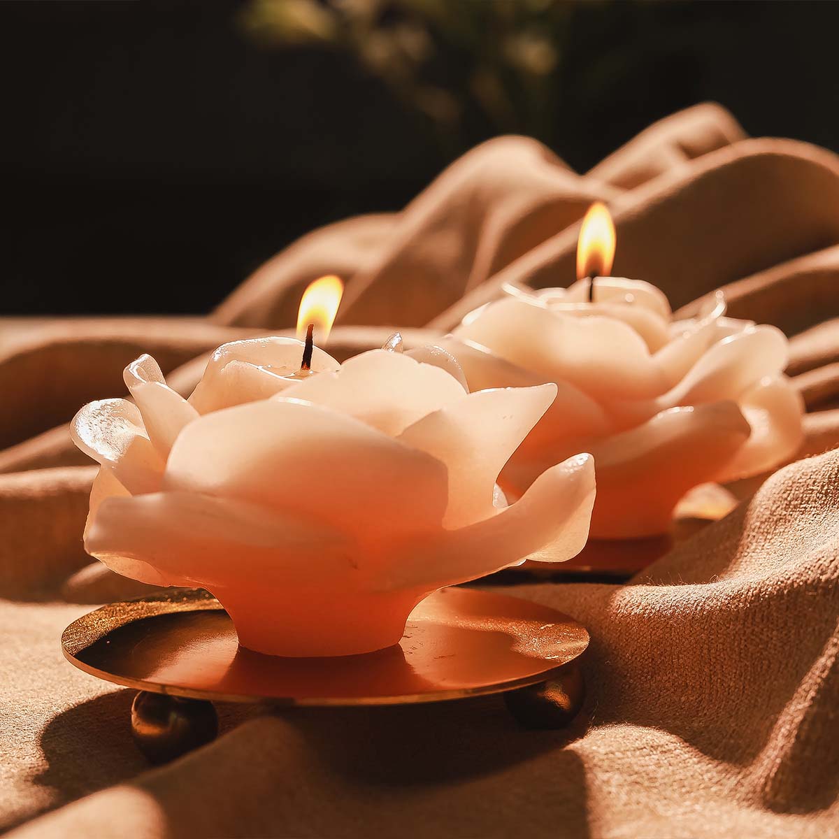 Rose Candles with Candle Plates - Set of 2