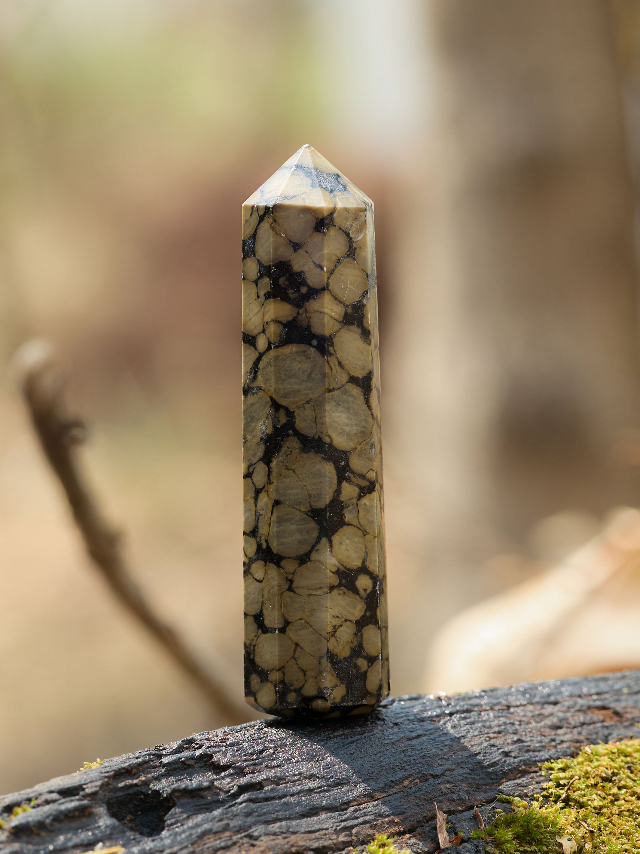 Gemstone Tower | Scapolite