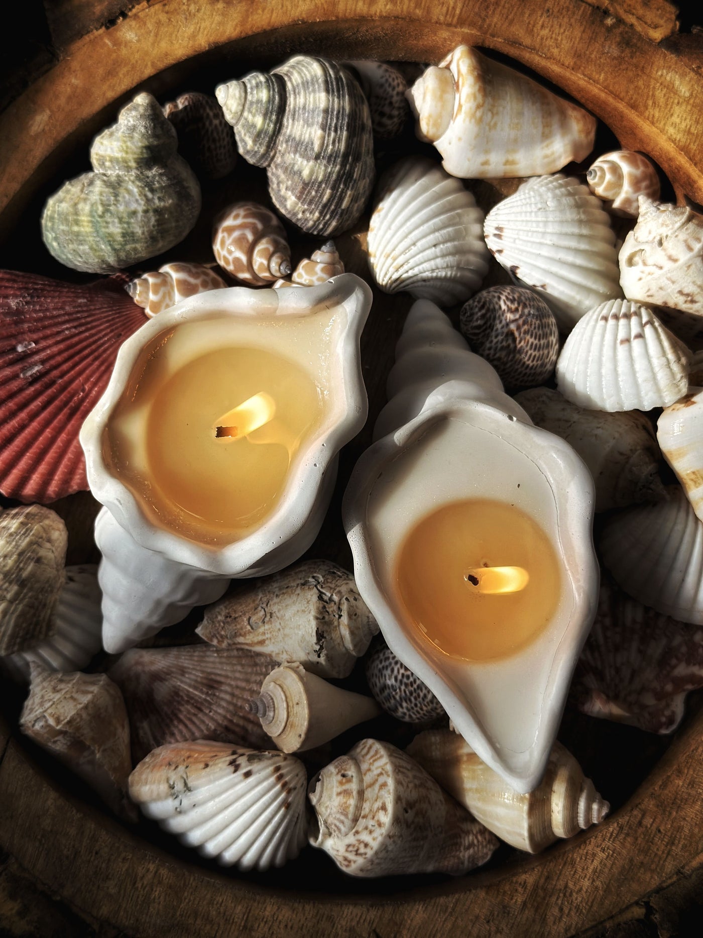 Goa Glow Shell Candles (Set of 2)