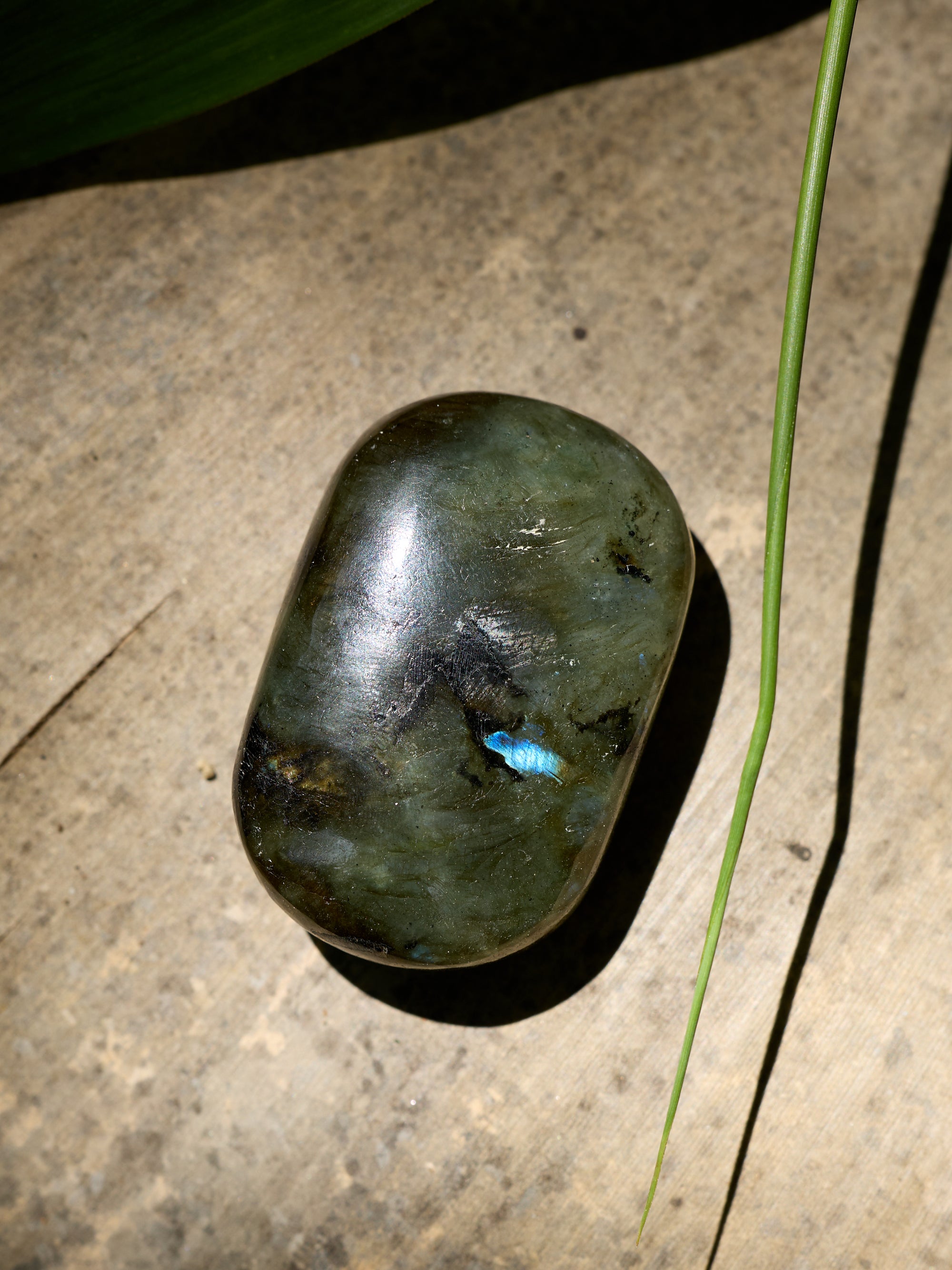 Semi-precious Gemstone - Labradorite Palmstone