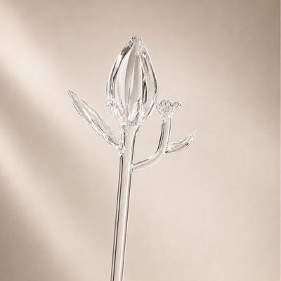 Fiore della Laguna — Spirit Bloom Collection