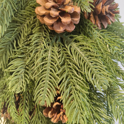 Christmas Norfolk Pine Swag (Small)