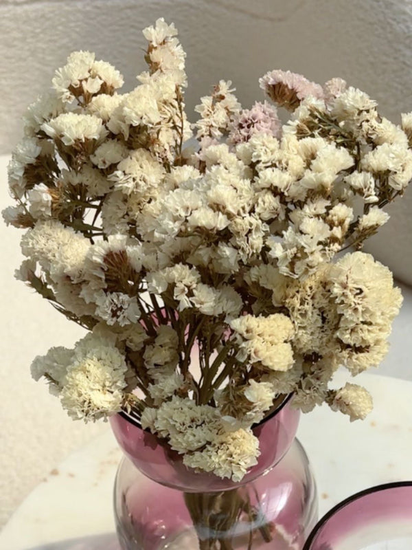 Dried Flower - Statice