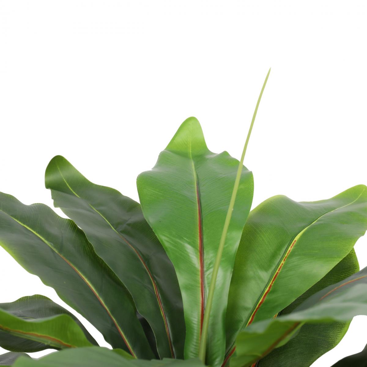 Wide Leaf Birds Nest Fern Artificial Plant