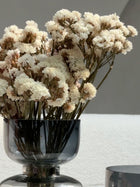 Dried Flower - Statice